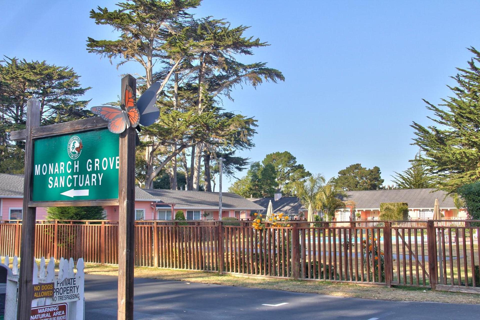 Butterfly Grove Inn photo 8