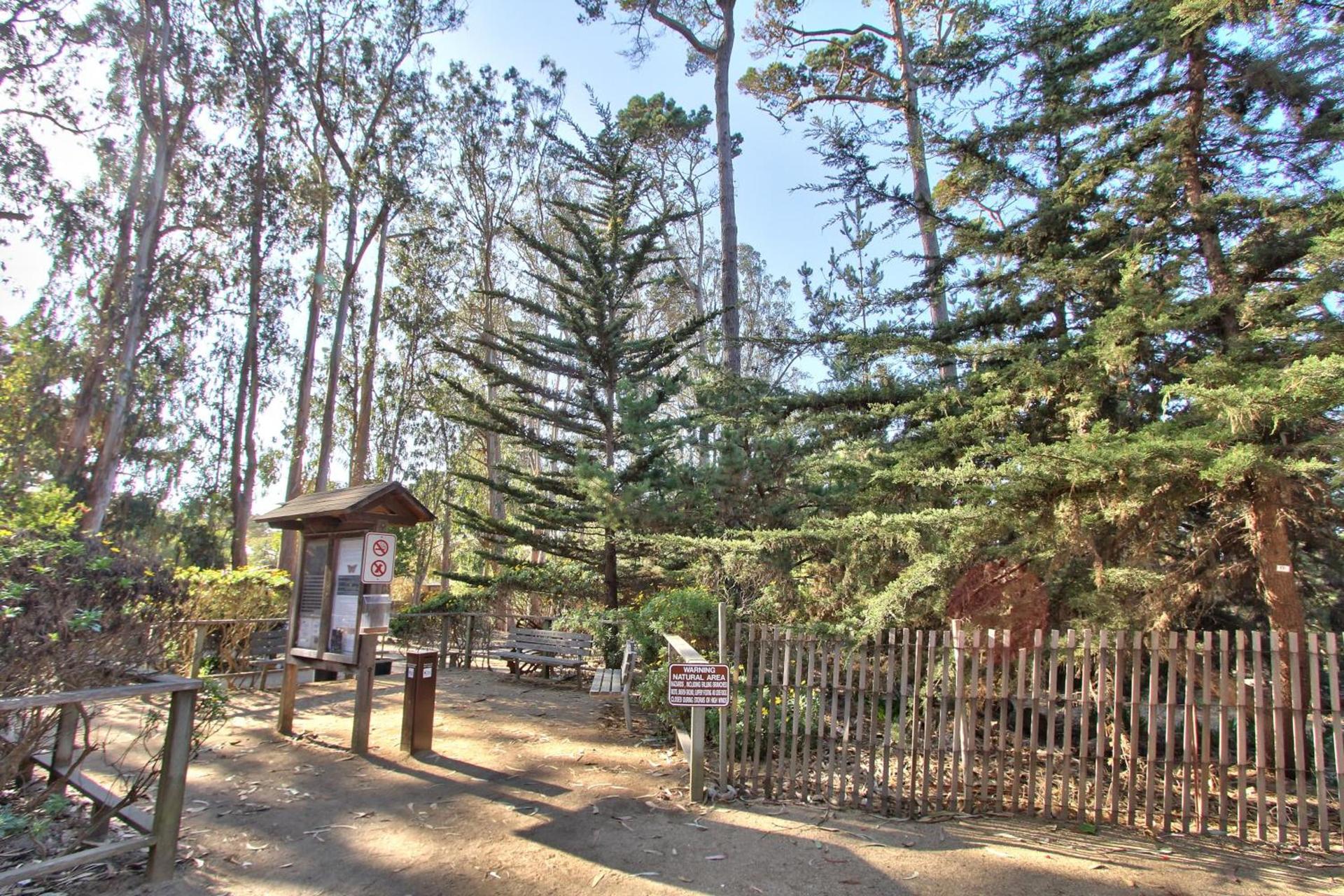 Butterfly Grove Inn photo 9