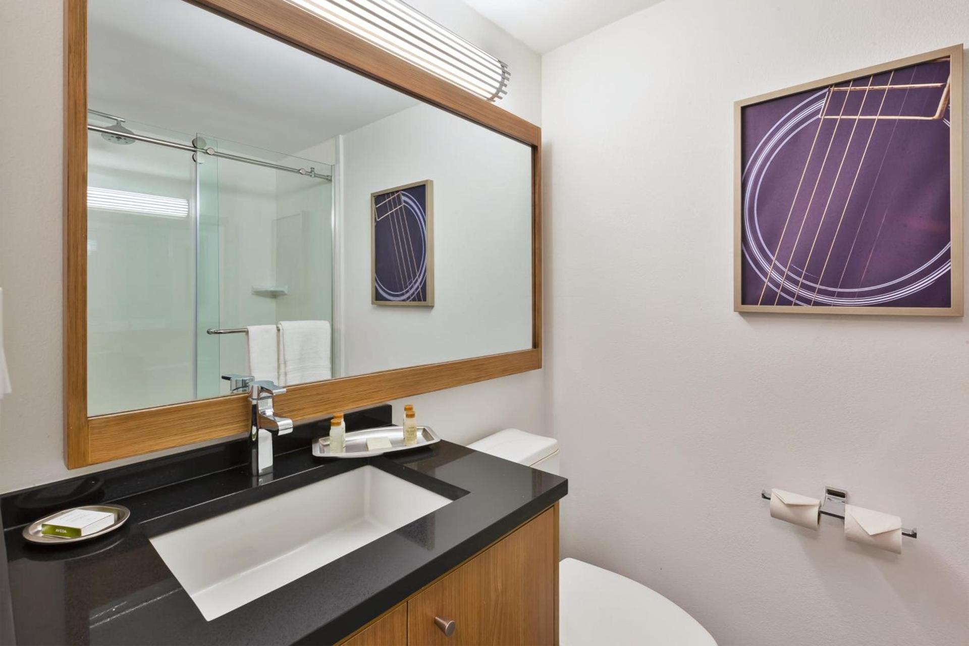 Hotel Indigo Detroit Downtown by IHG photo 87