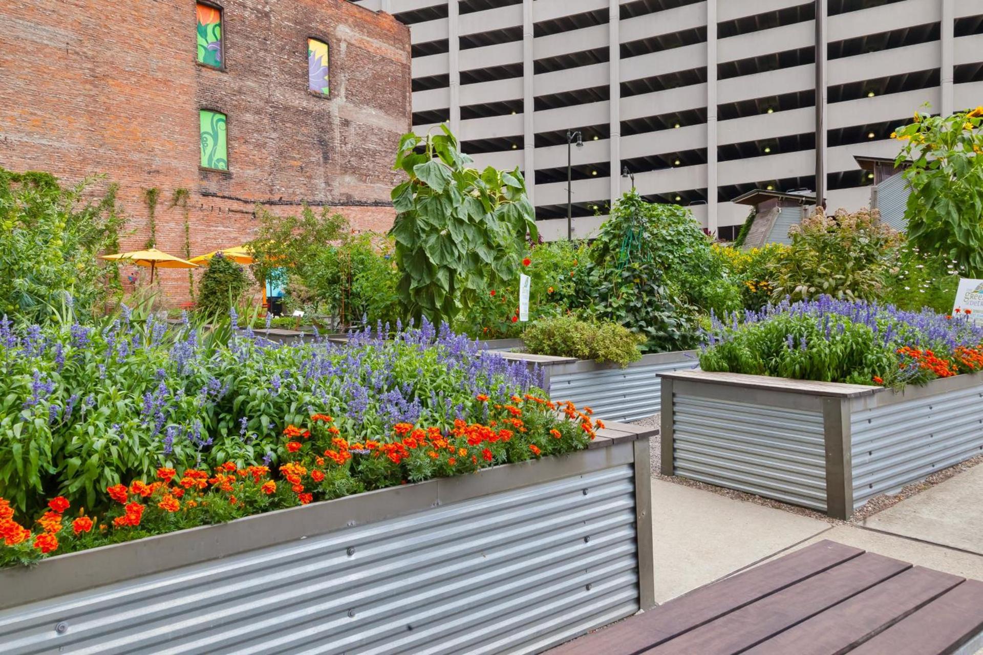 Hotel Indigo Detroit Downtown by IHG photo 65