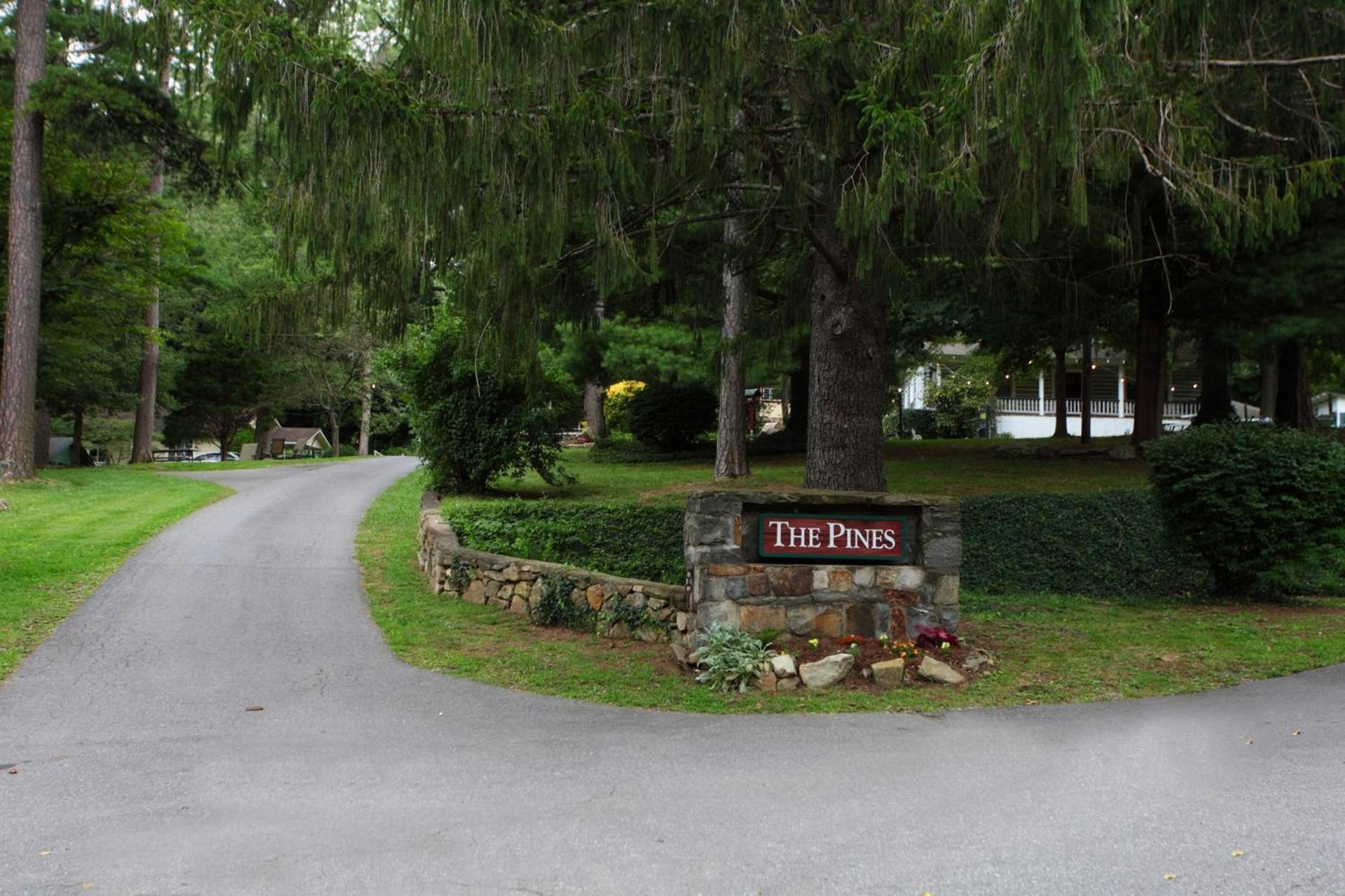 The Pines Cottages photo 6