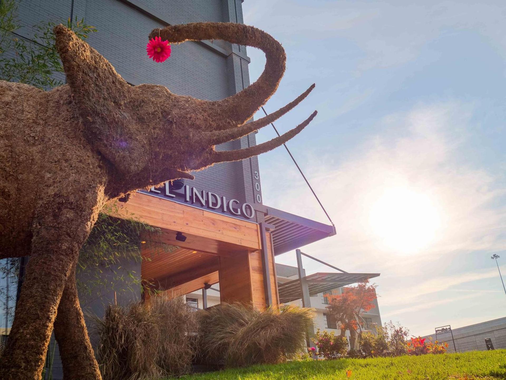 Hotel Indigo Chattanooga - Downtown by IHG photo 44