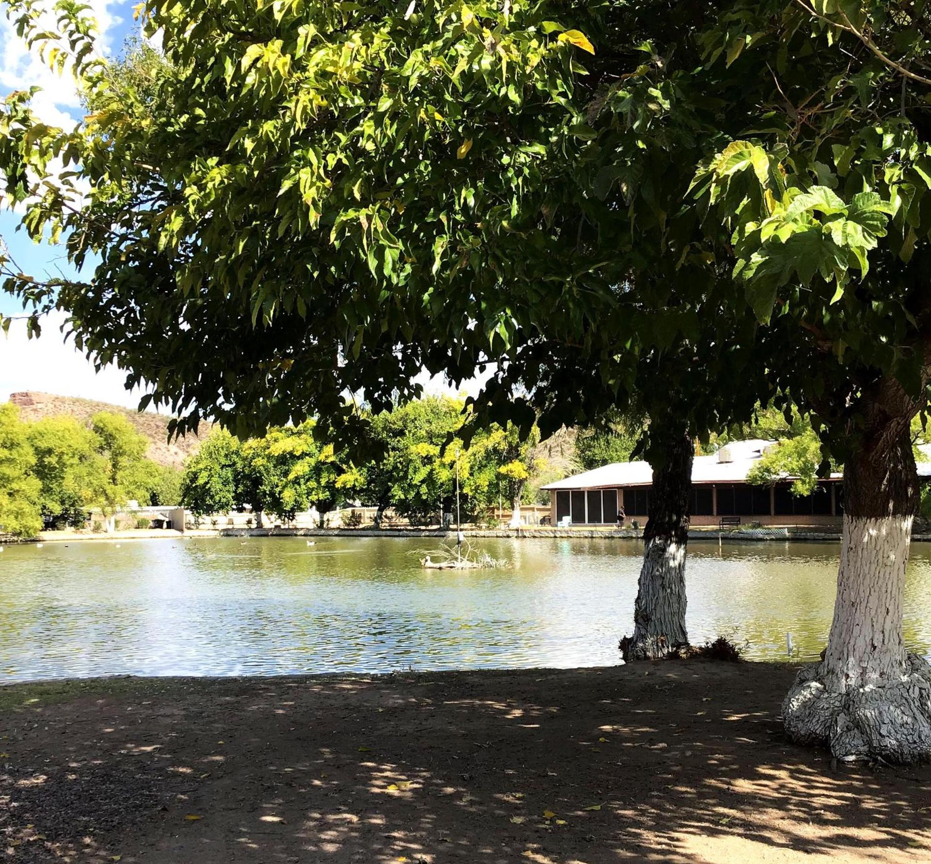 Roosevelt Resort Park photo 8