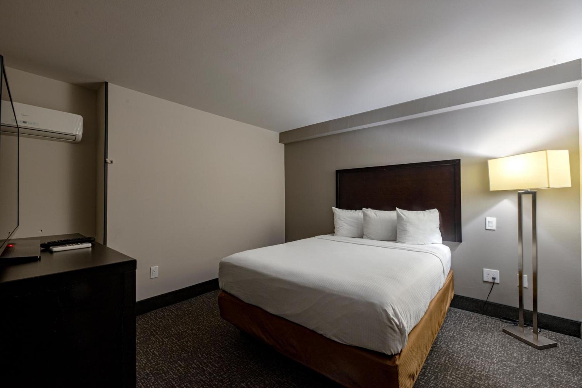 Wingate by Wyndham Atlanta Galleria/ Ballpark photo 61