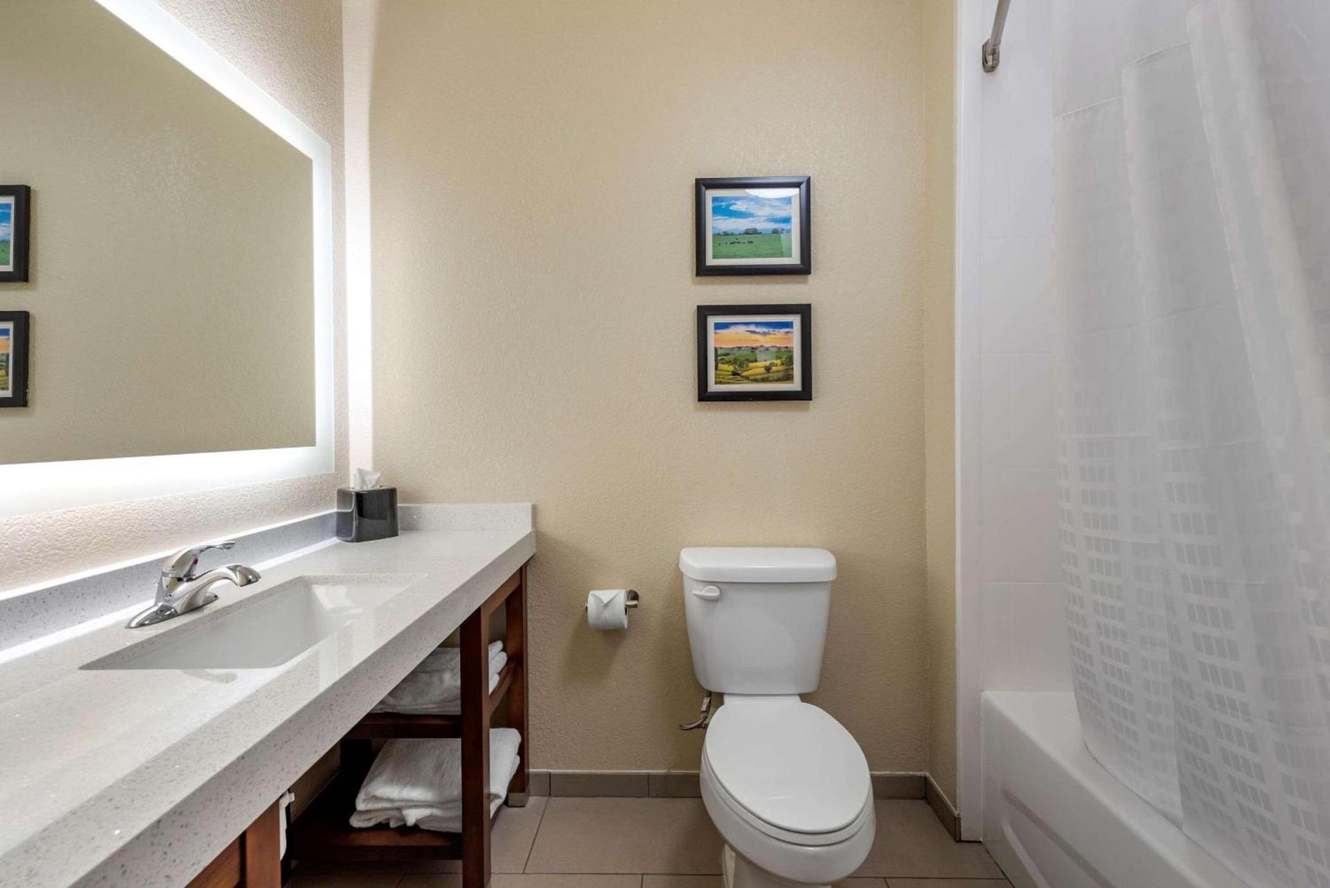Comfort Suites Dry Ridge photo 7