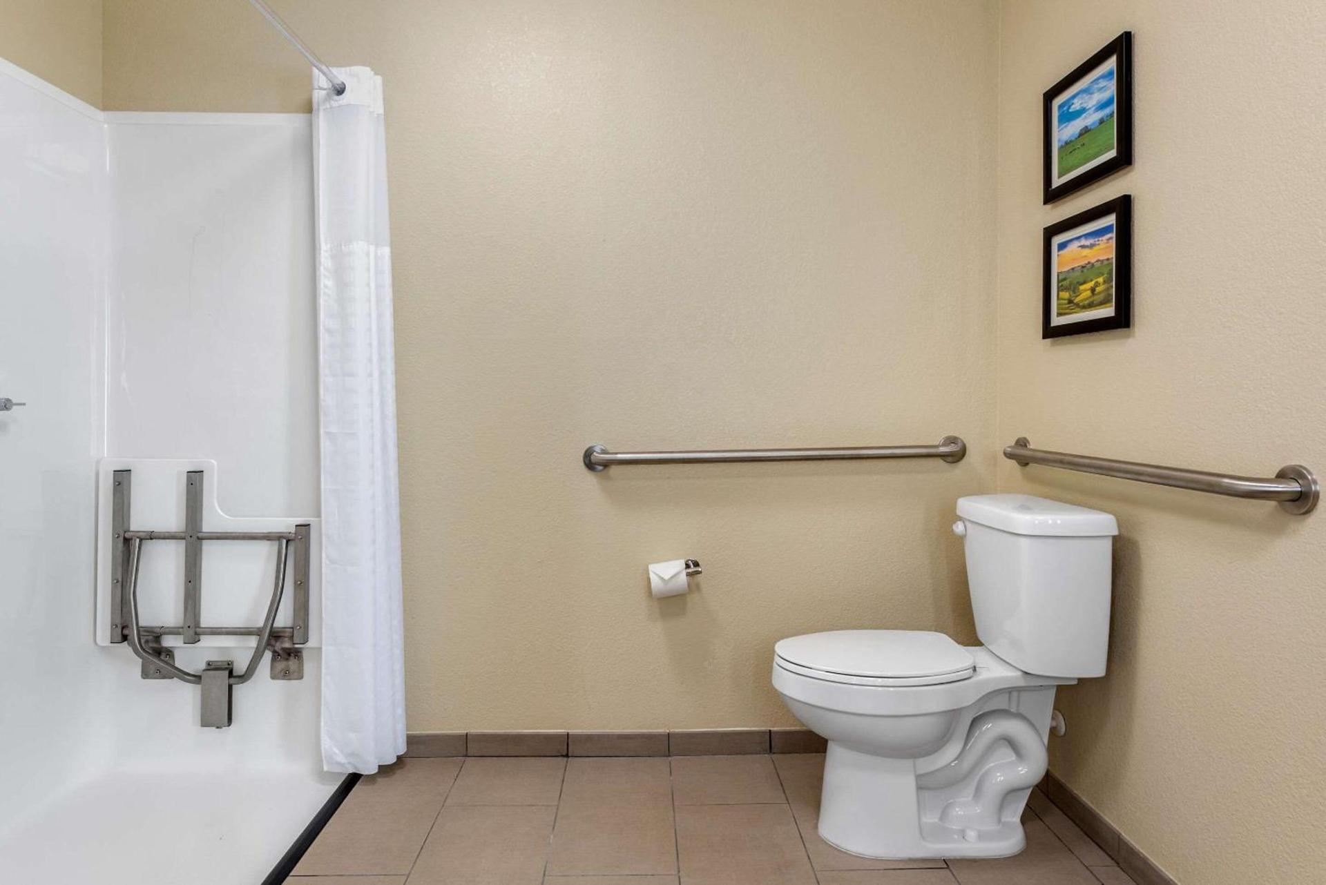Comfort Suites Dry Ridge photo 17