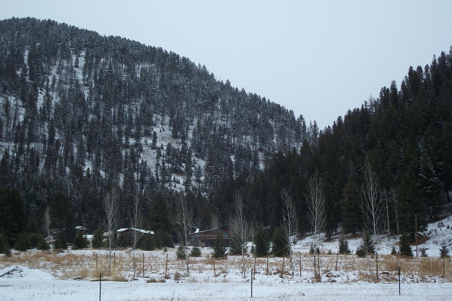 Terra Nova Cabins photo 14