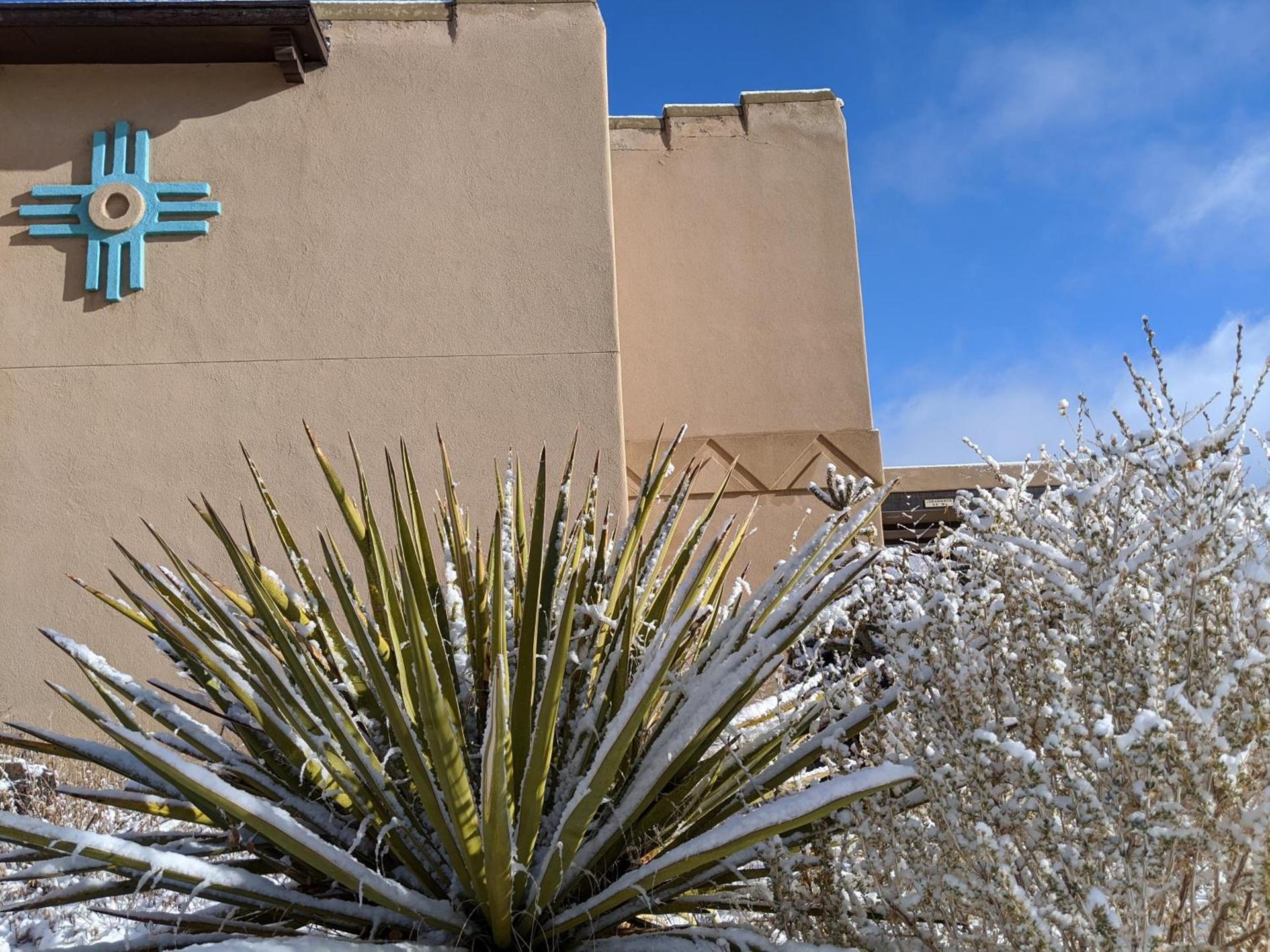 Sagebrush Inn & Suites photo 67