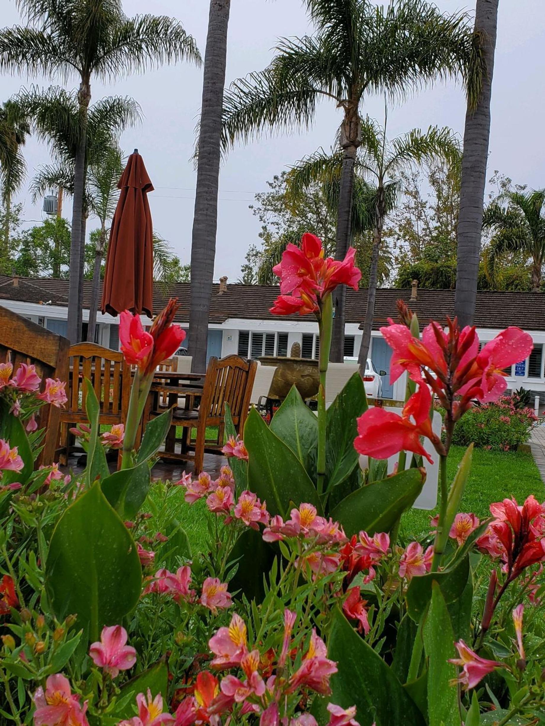 Marina Beach Hotel photo 18