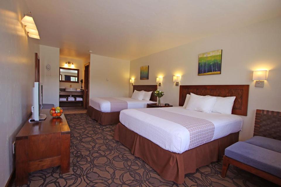Mount Princeton Hot Springs Resort photo 55