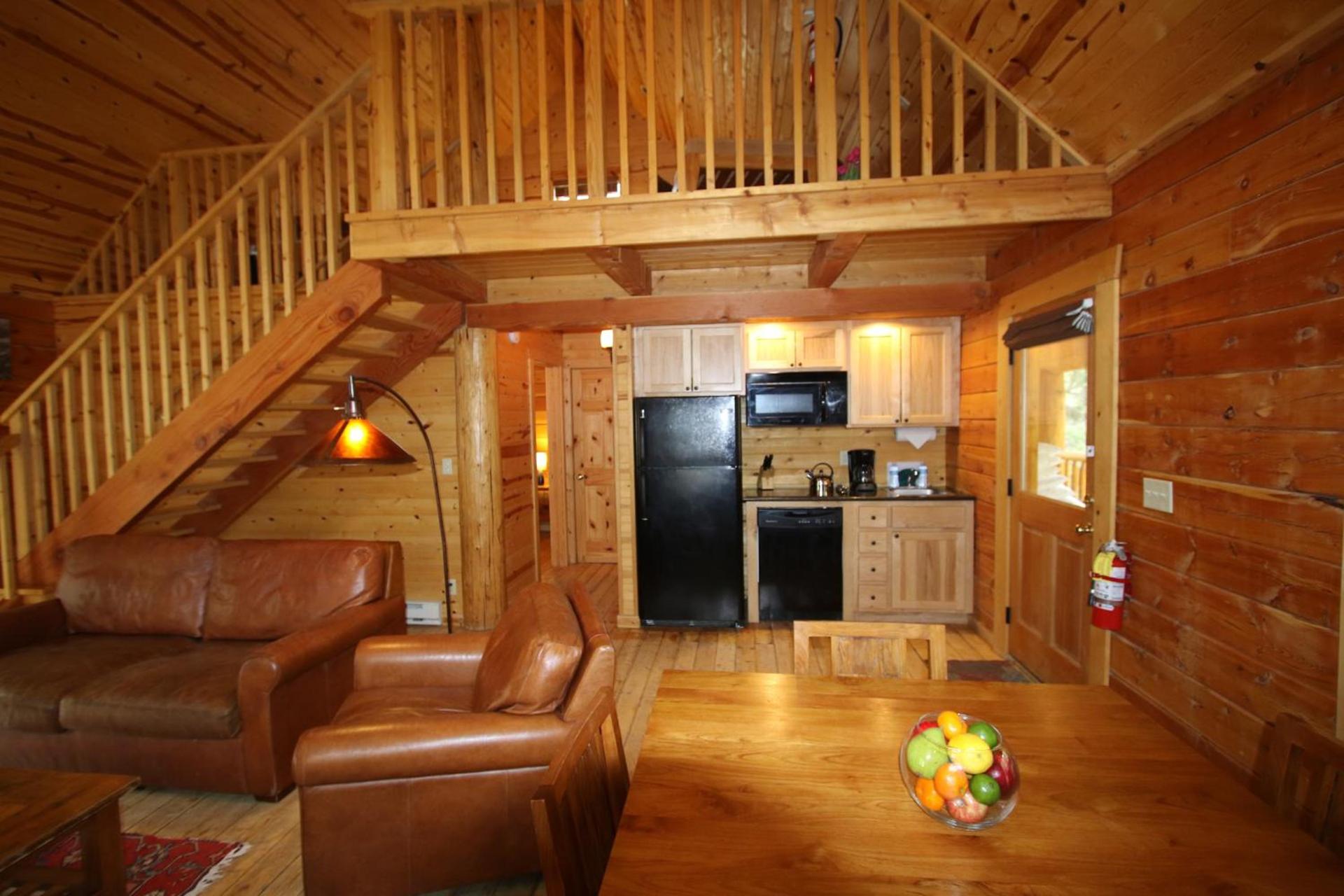 Mount Princeton Hot Springs Resort photo 52