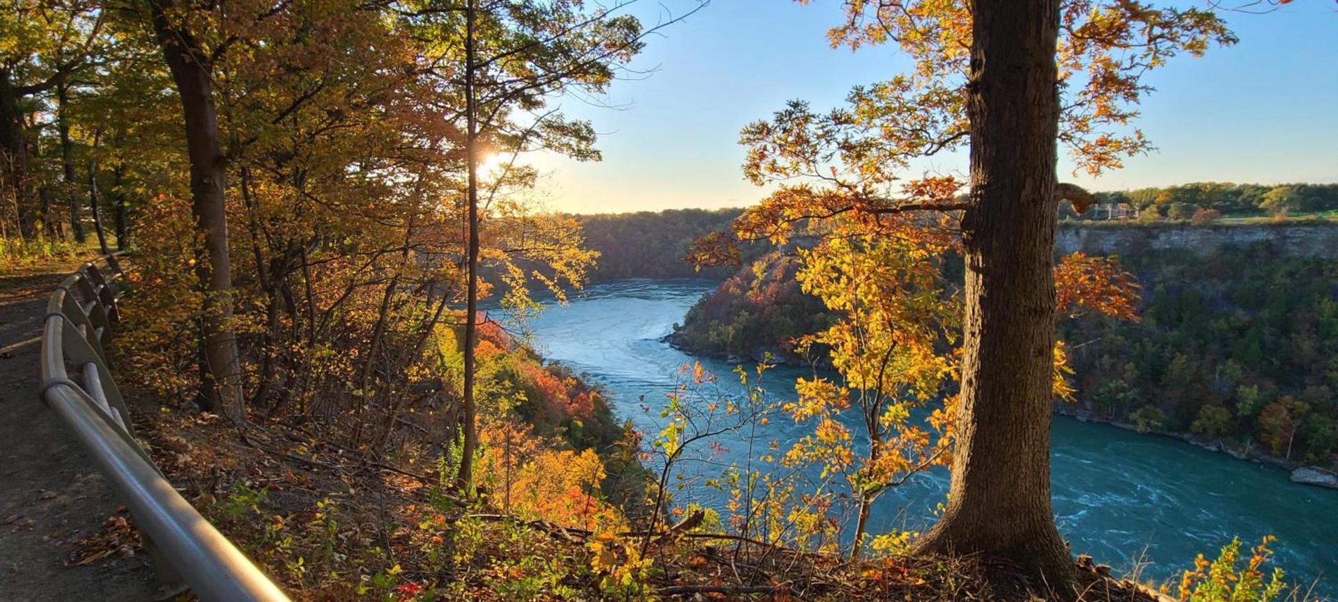 Wyndham Garden at Niagara Falls photo 4
