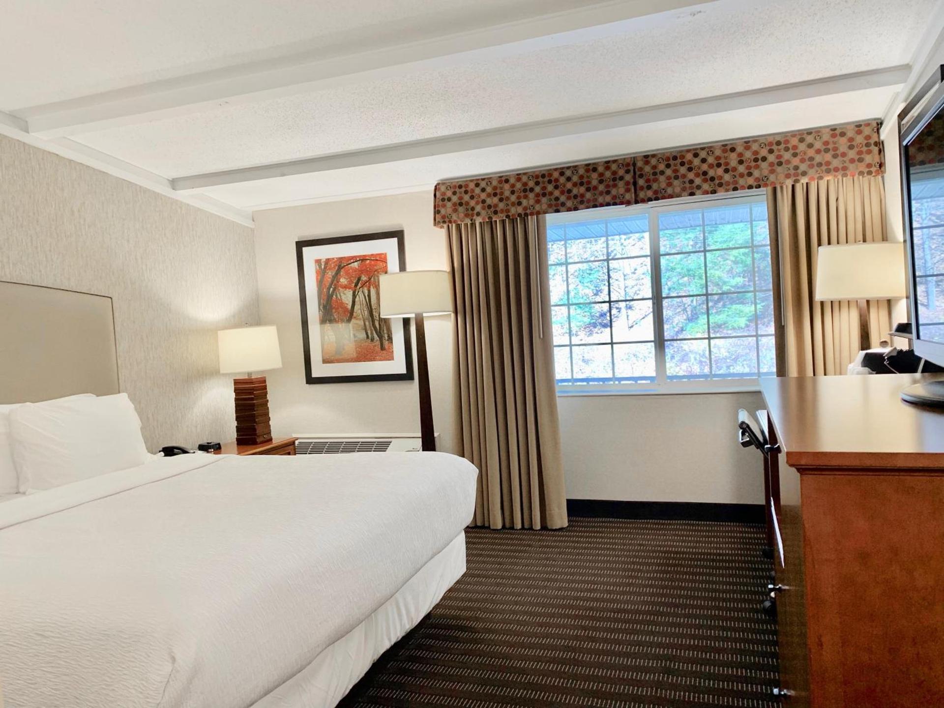 Best Western Springfield Hotel photo 54