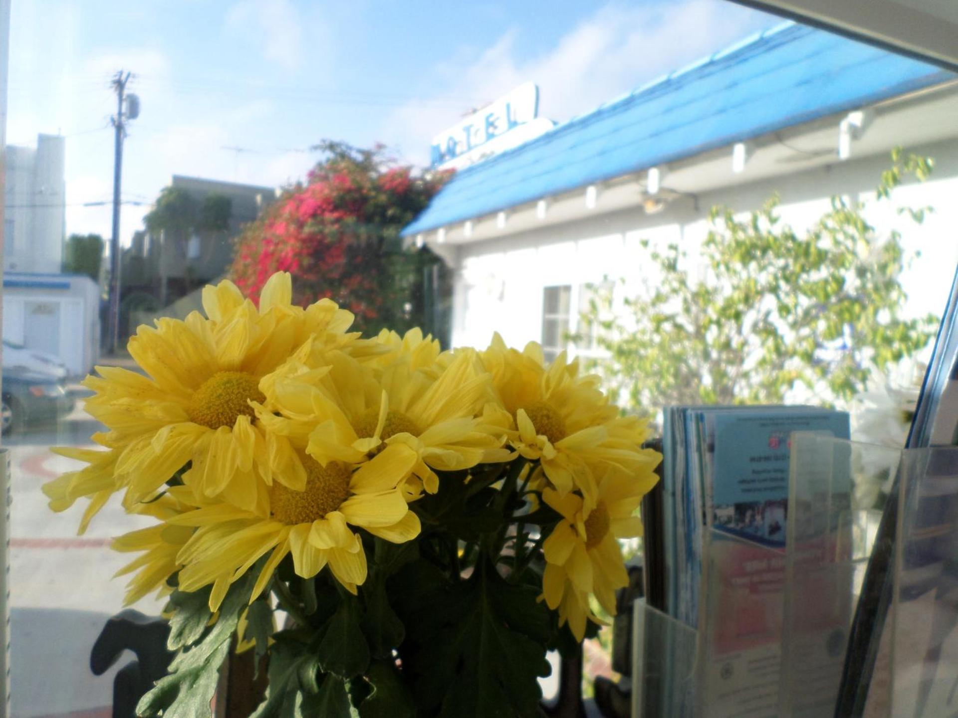 Rest Haven Motel photo 8