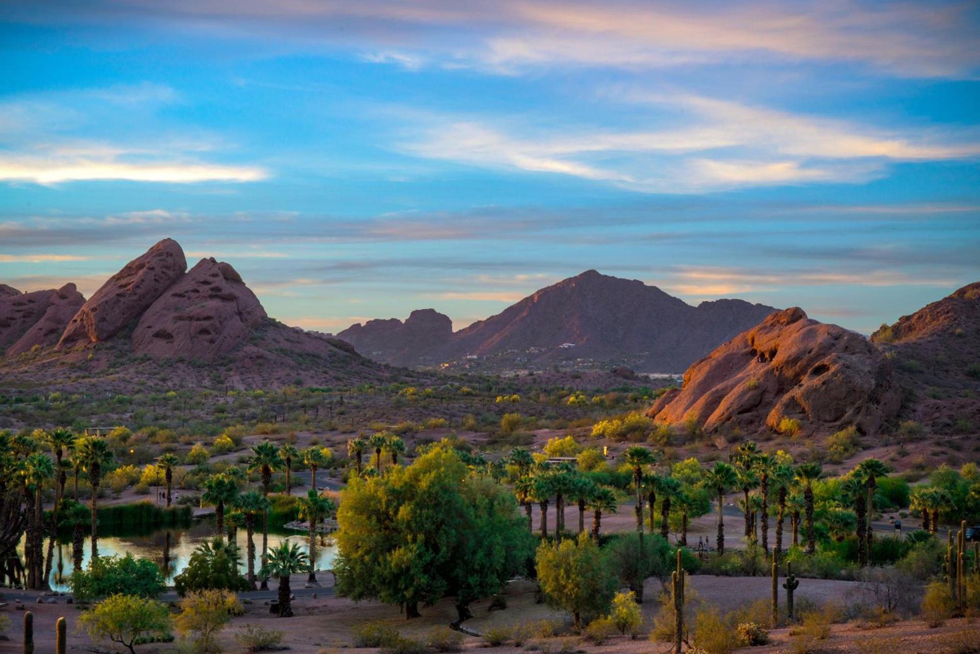 Holiday Inn Express & Suites - Phoenix - Airport North by IHG photo 49