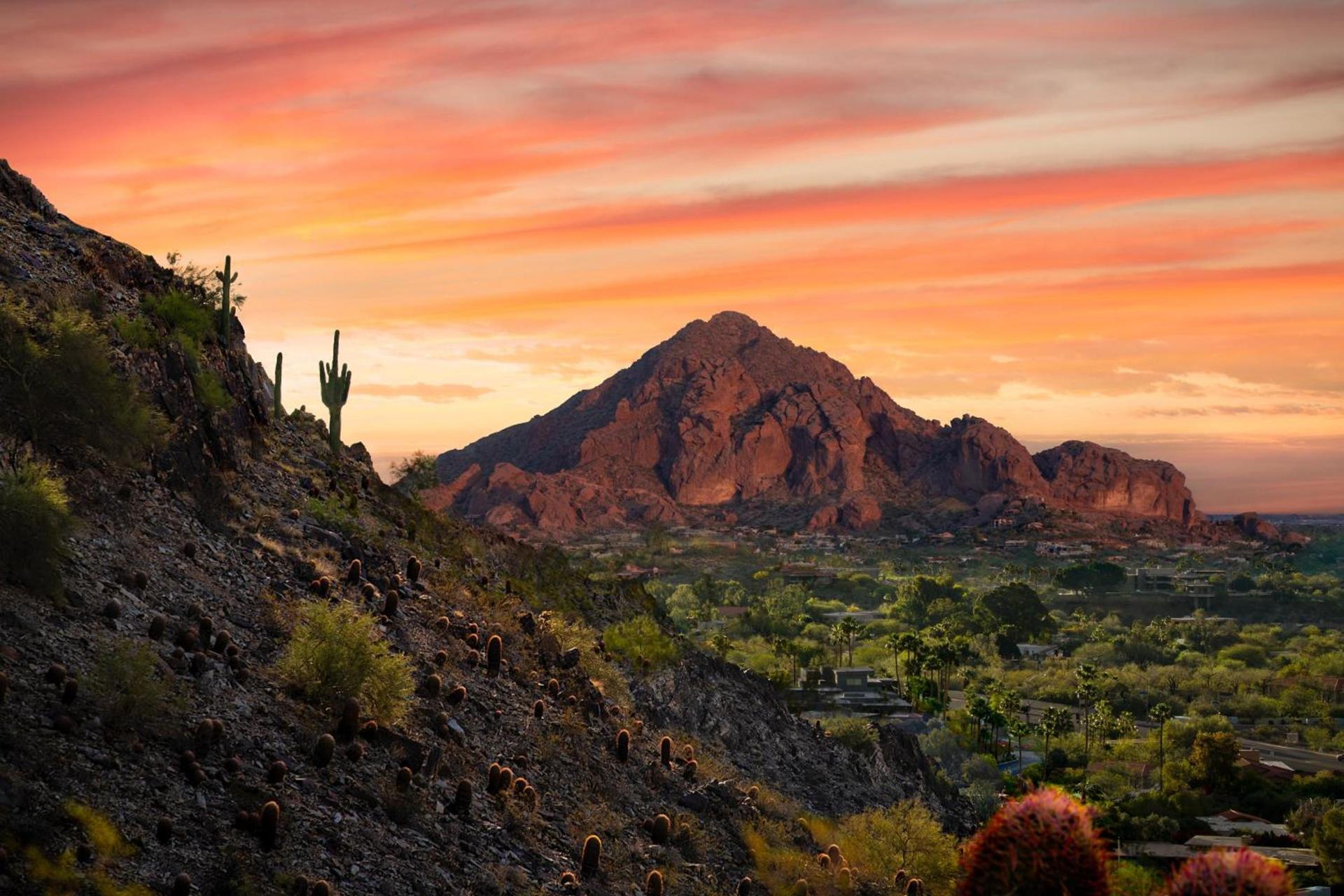 Holiday Inn Express & Suites - Phoenix - Airport North by IHG photo 42