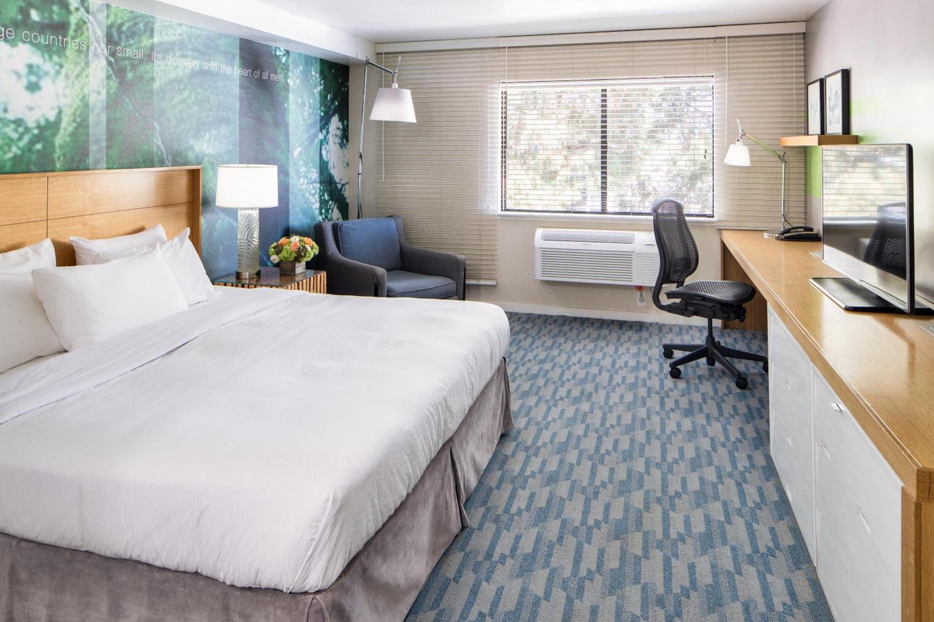 The Domain Hotel photo 11