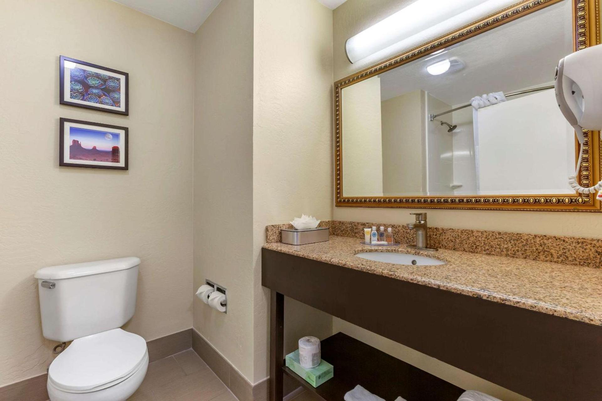 Comfort Inn & Suites Surprise Near Sun City West photo 55