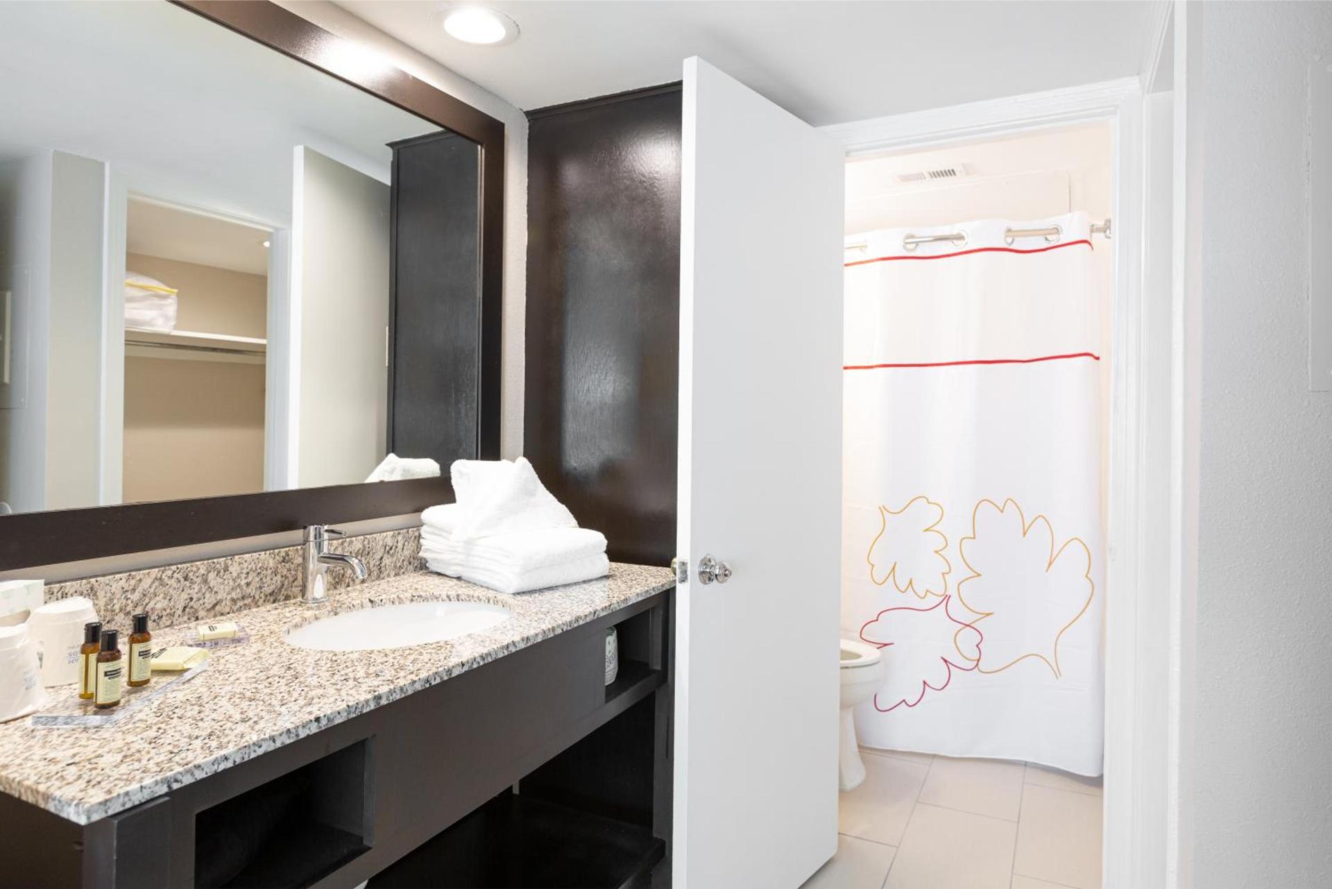 Value Suites Extended Stay - Arlington photo 22