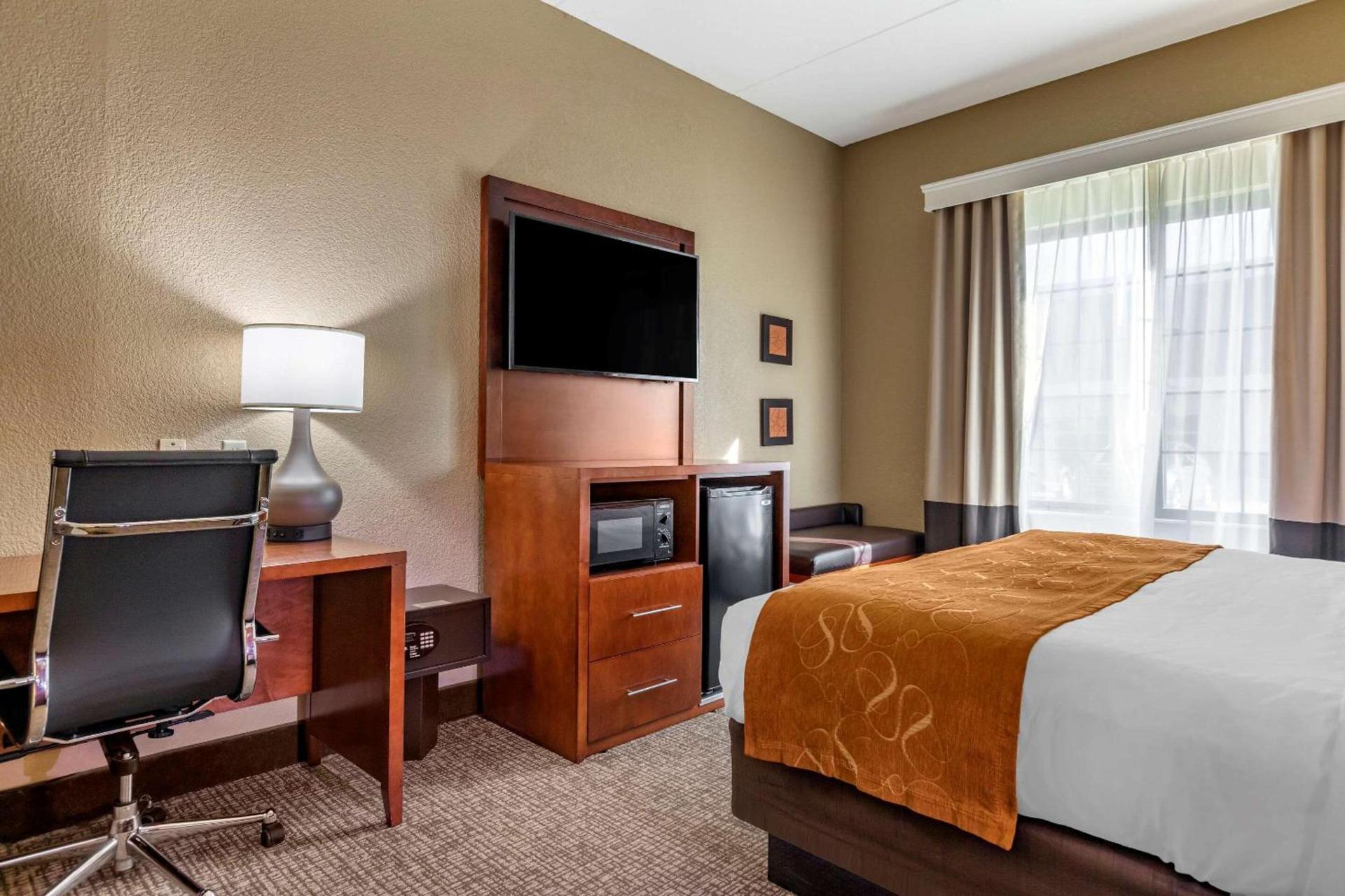 Comfort Suites Grand Rapids South photo 8
