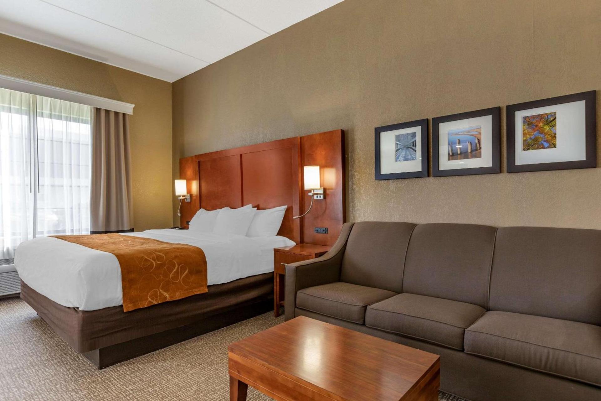 Comfort Suites Grand Rapids South photo 10