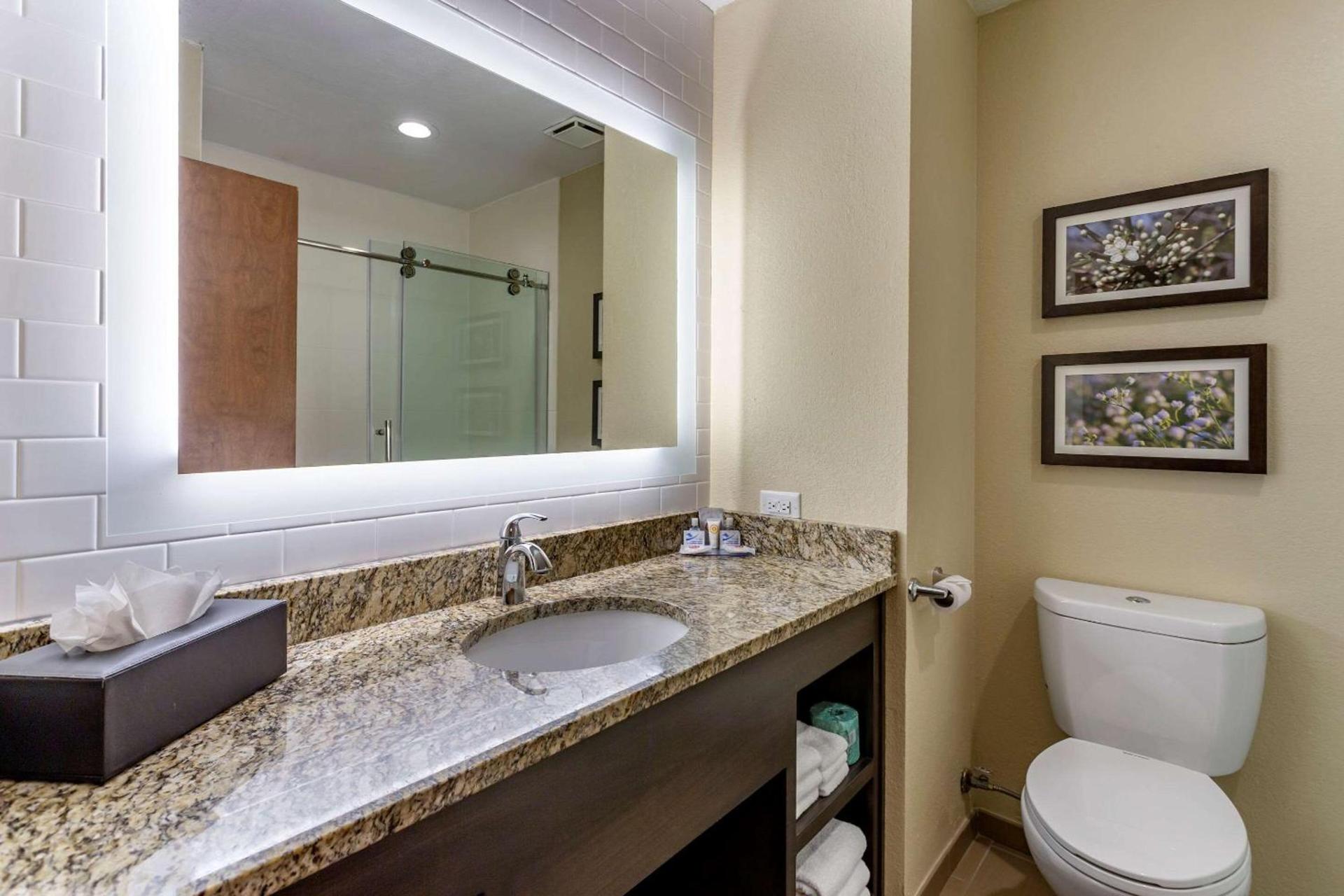 Comfort Inn St Robert-Fort Leonard Wood photo 21