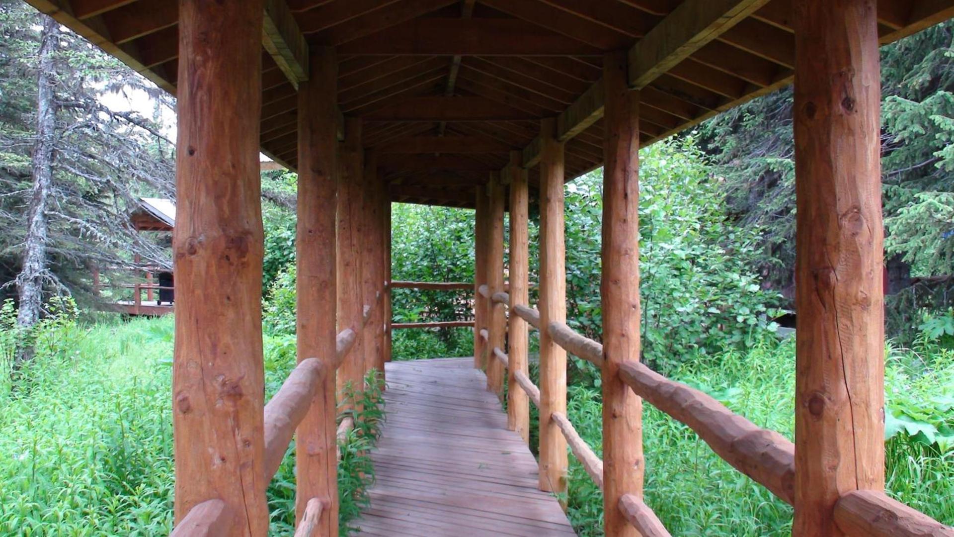 Moose Cabin photo 13