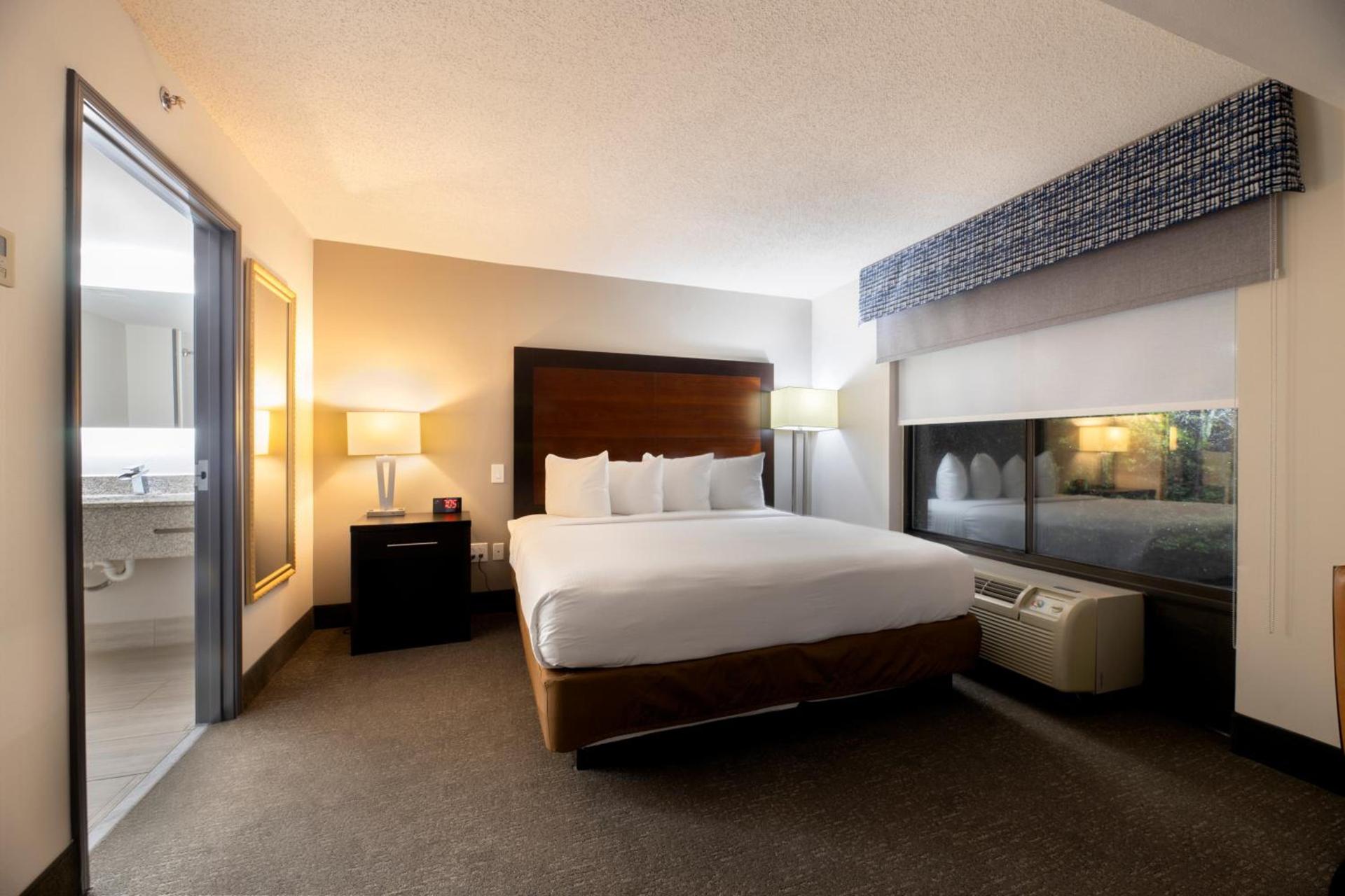 Wingate by Wyndham Atlanta Galleria/ Ballpark photo 35