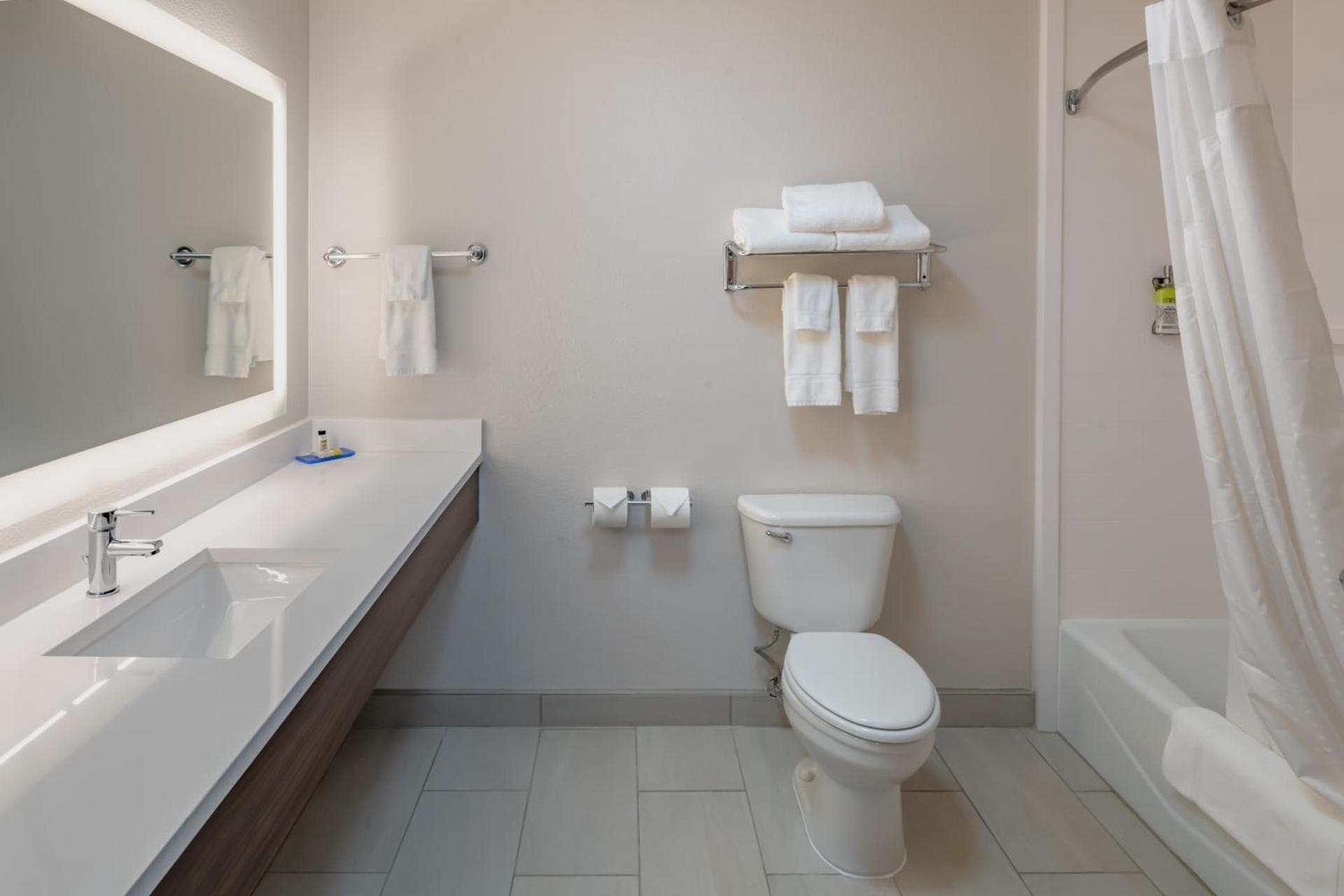 Holiday Inn Express & Suites N Waco Area - West by IHG photo 33