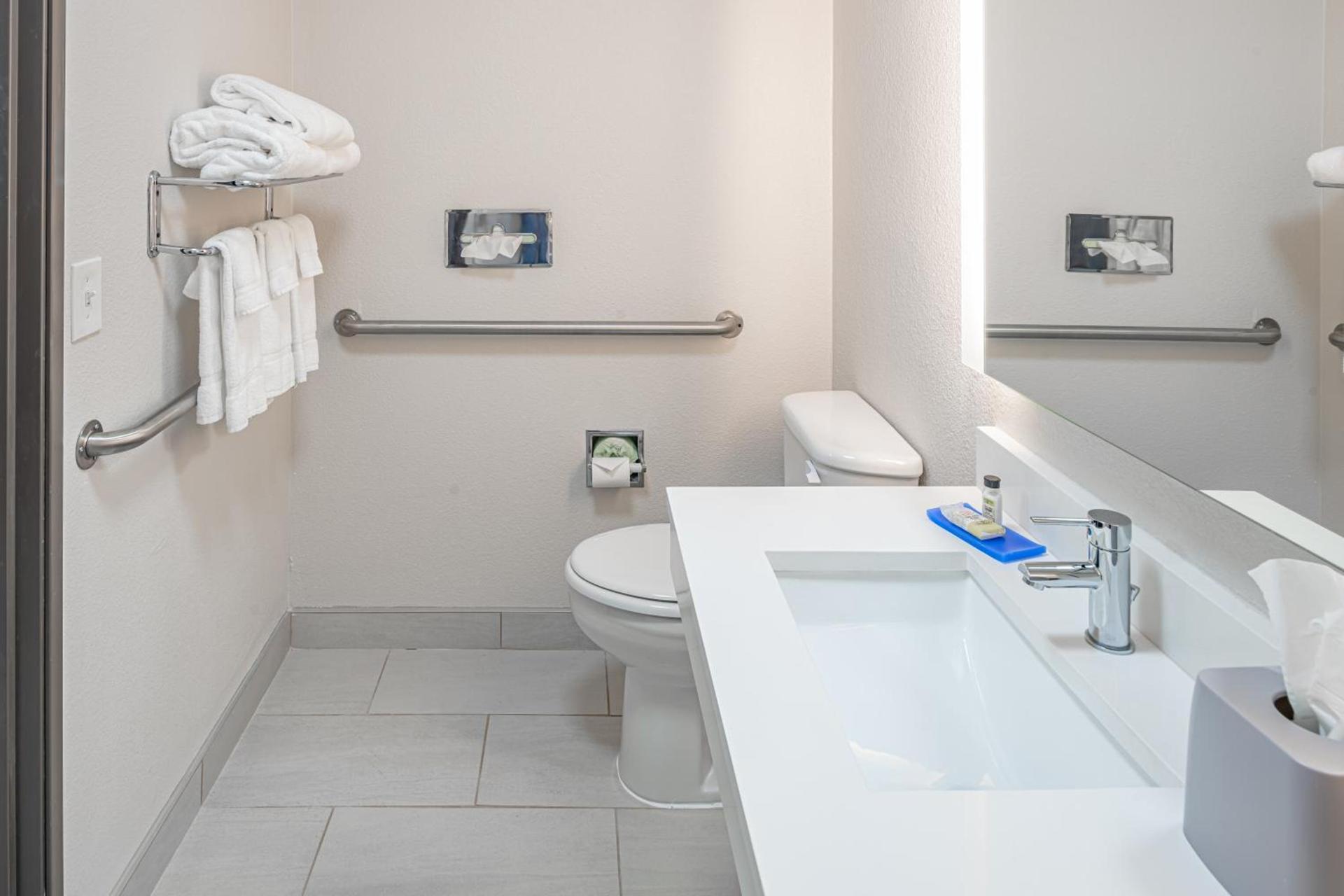 Holiday Inn Express & Suites N Waco Area - West by IHG photo 27