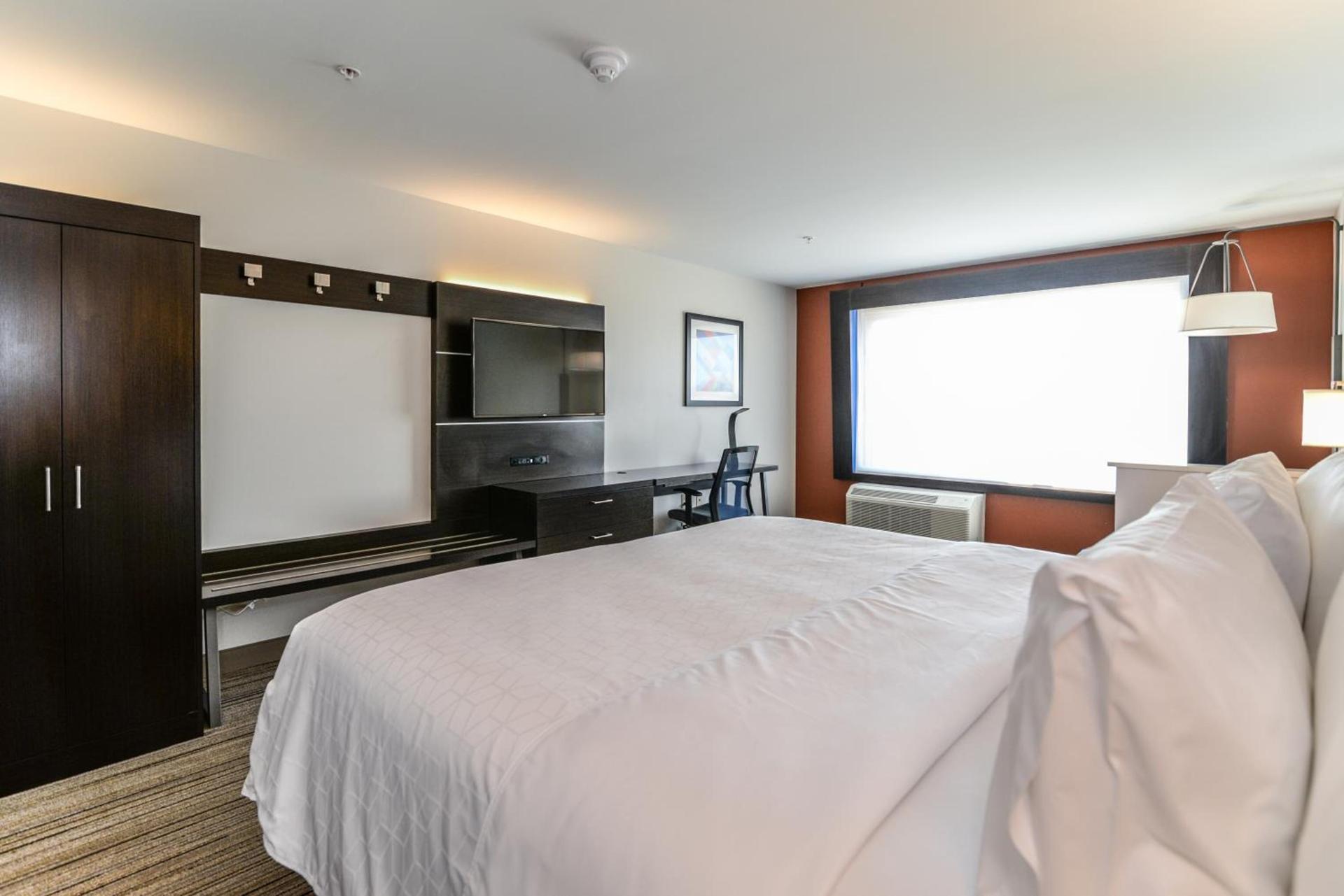 Holiday Inn Express & Suites Allen Park by IHG photo 3