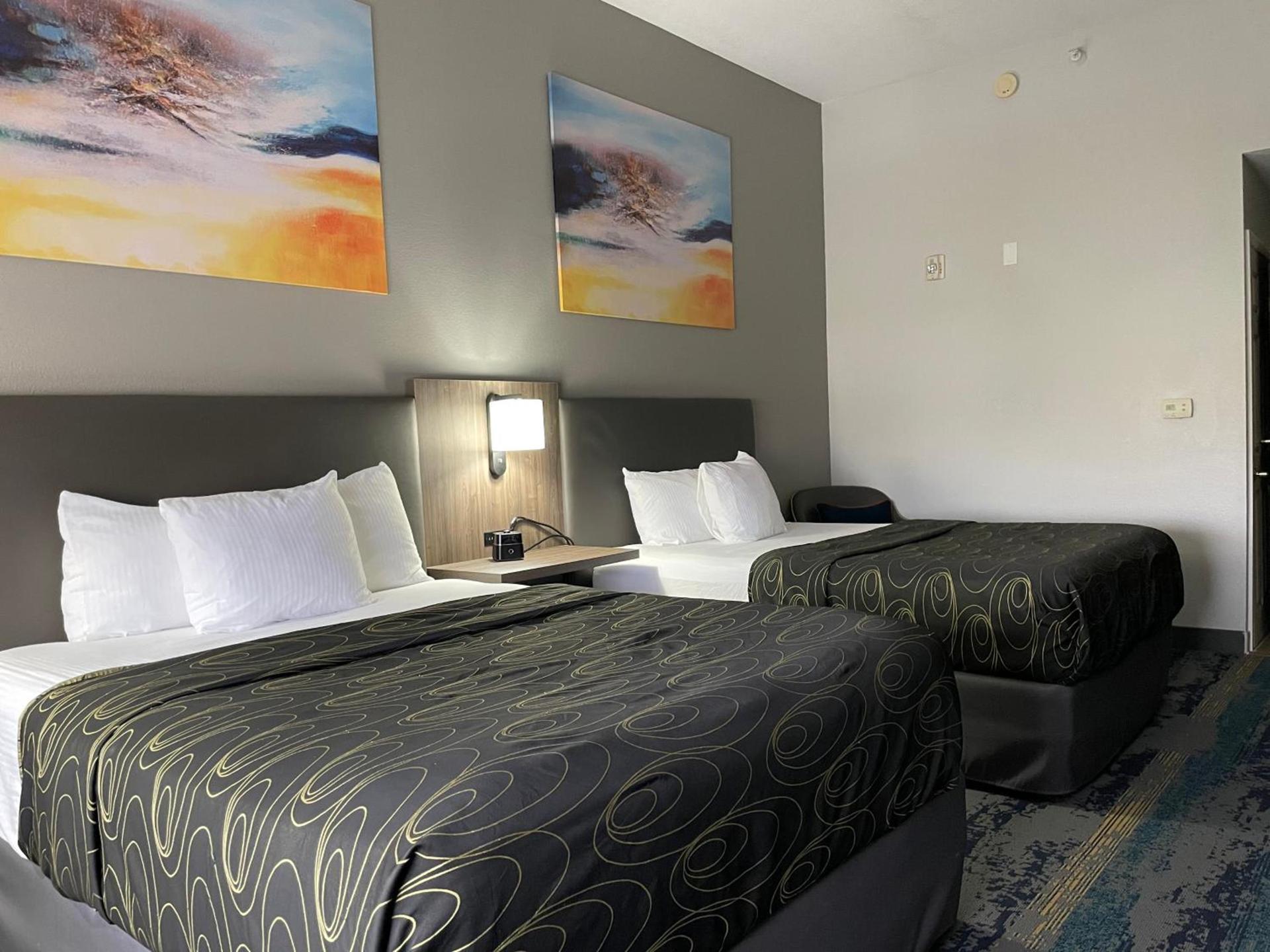 La Quinta by Wyndham Tampa Central photo 26