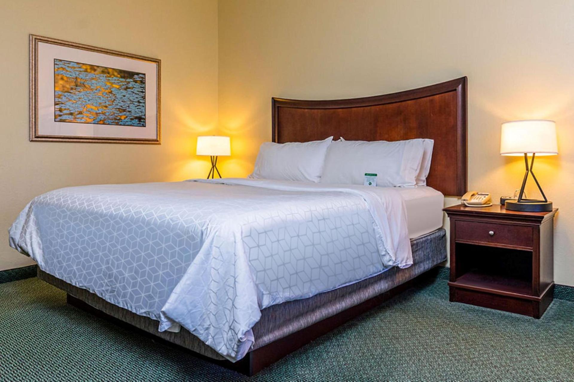 Holiday Inn Express Indianapolis Airport by IHG photo 43