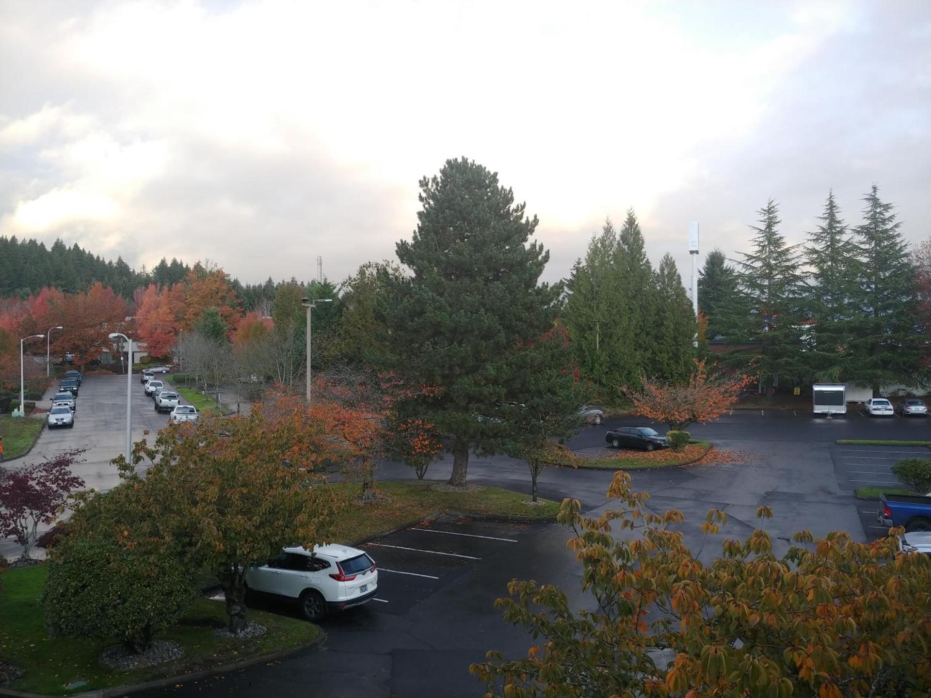 Best Western Plus Parkway Inn photo 42