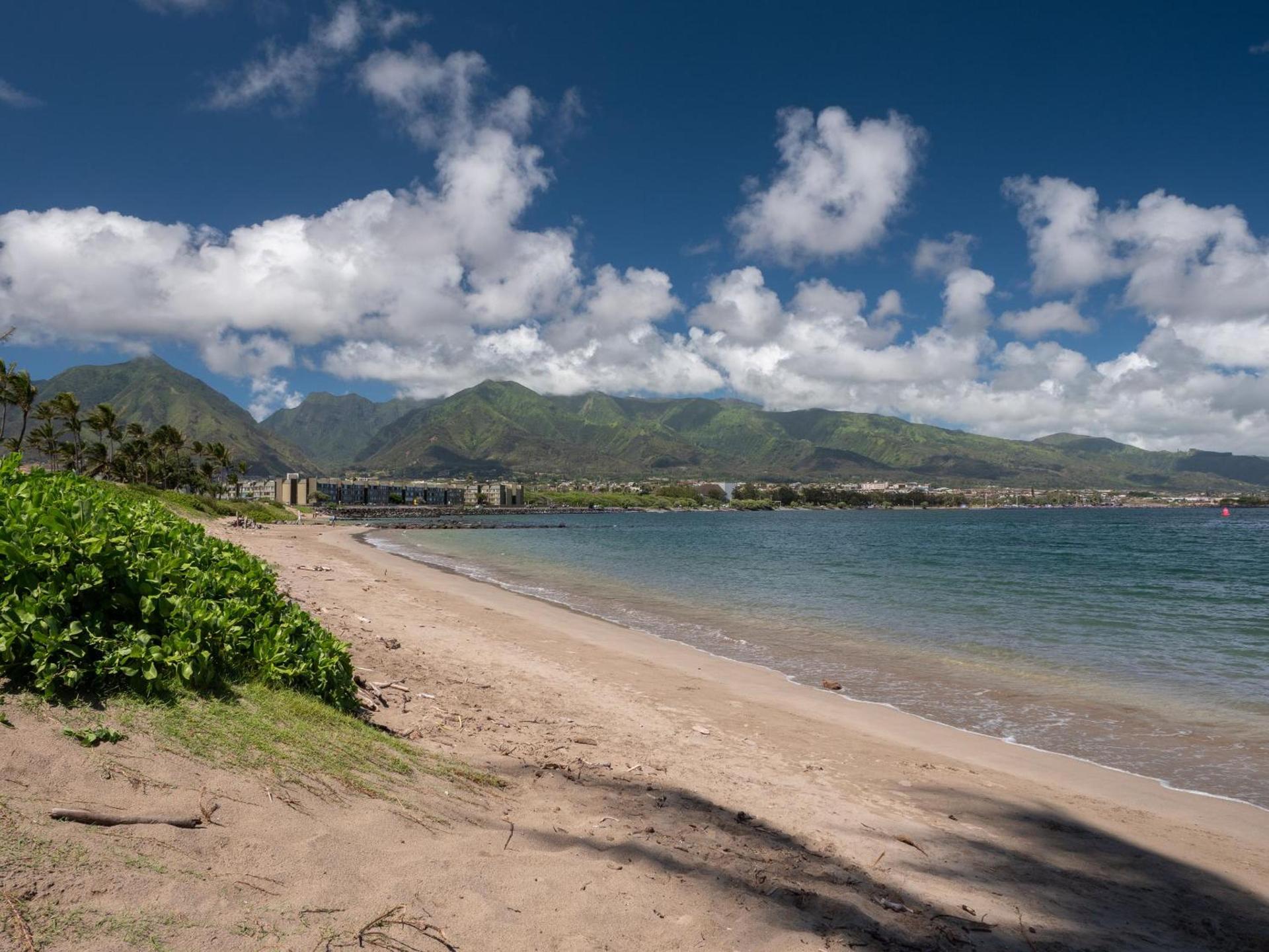 Maui Seaside Hotel photo 37