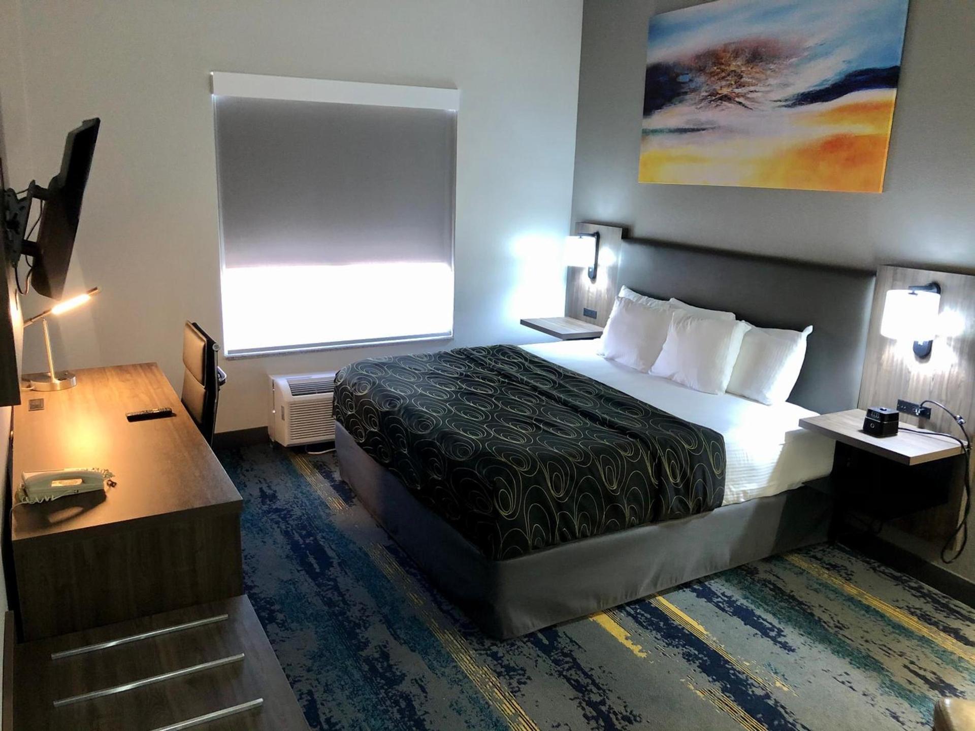 La Quinta by Wyndham Tampa Central photo 4