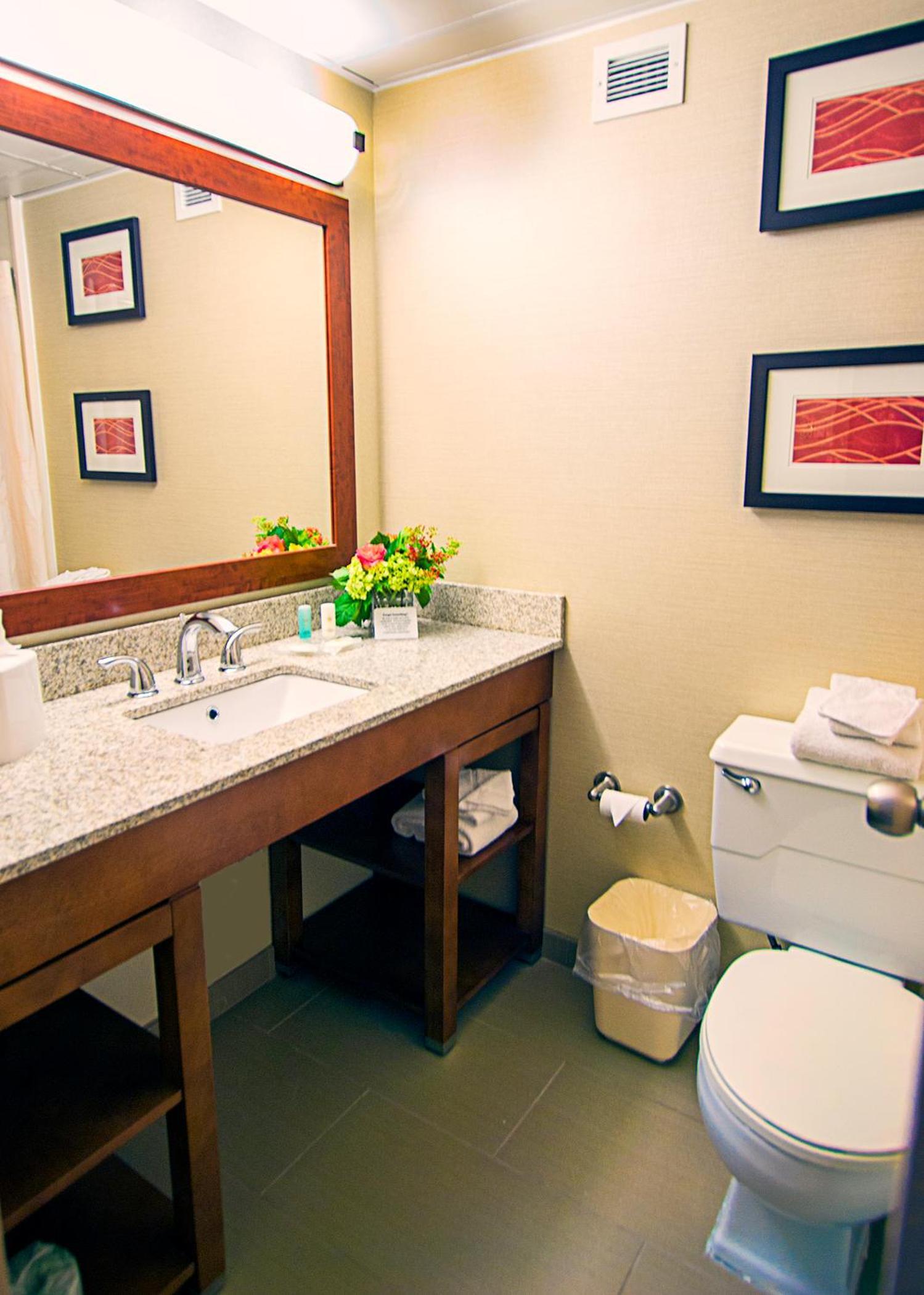 Comfort Inn St Louis - Westport Event Center photo 19