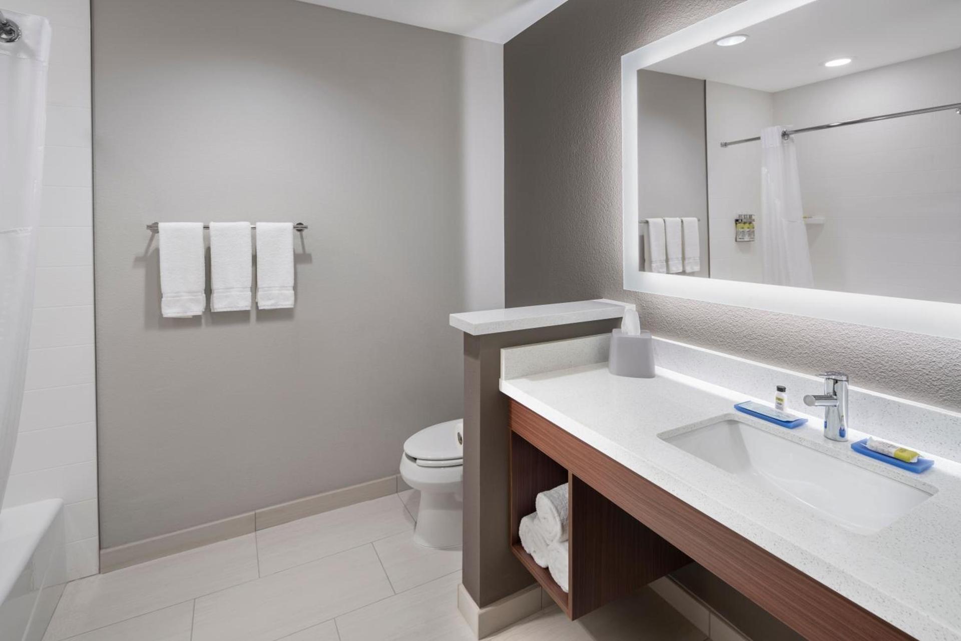 Holiday Inn Express & Suites - Odessa I-20 by IHG photo 27