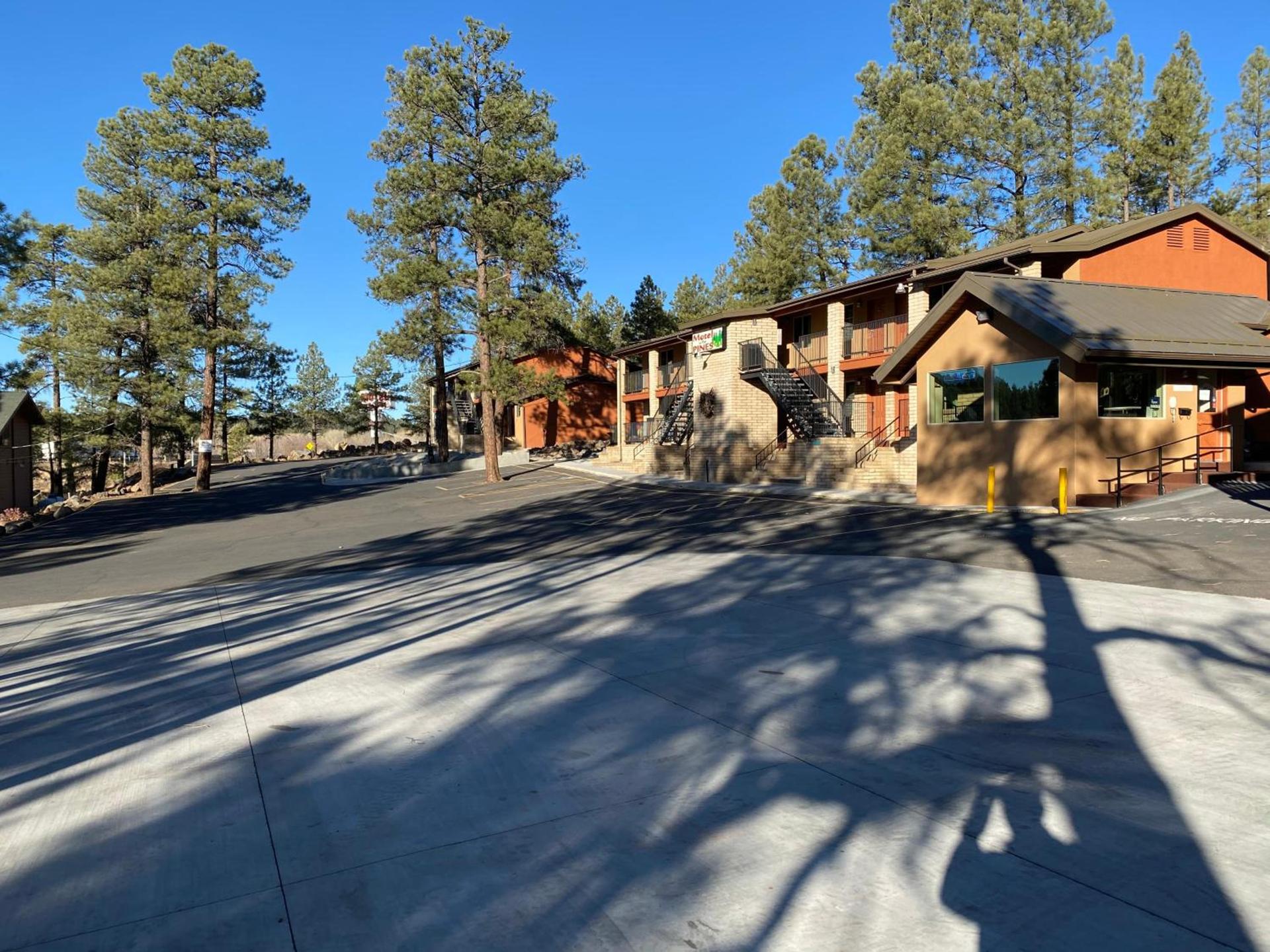 Motel In The Pines photo 2