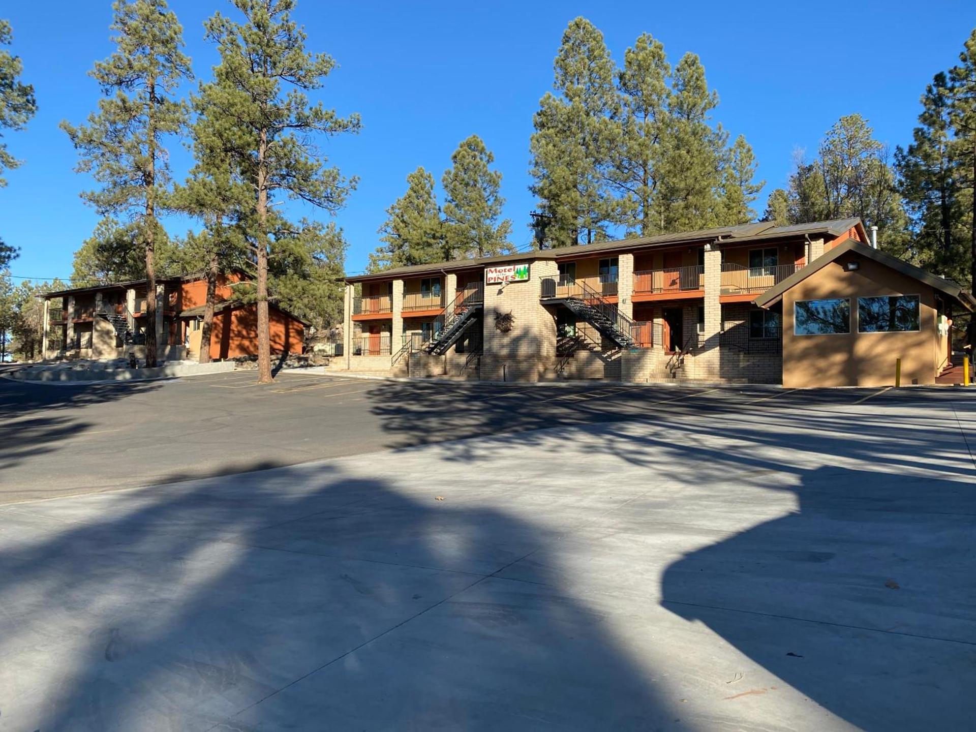 Motel In The Pines photo 7