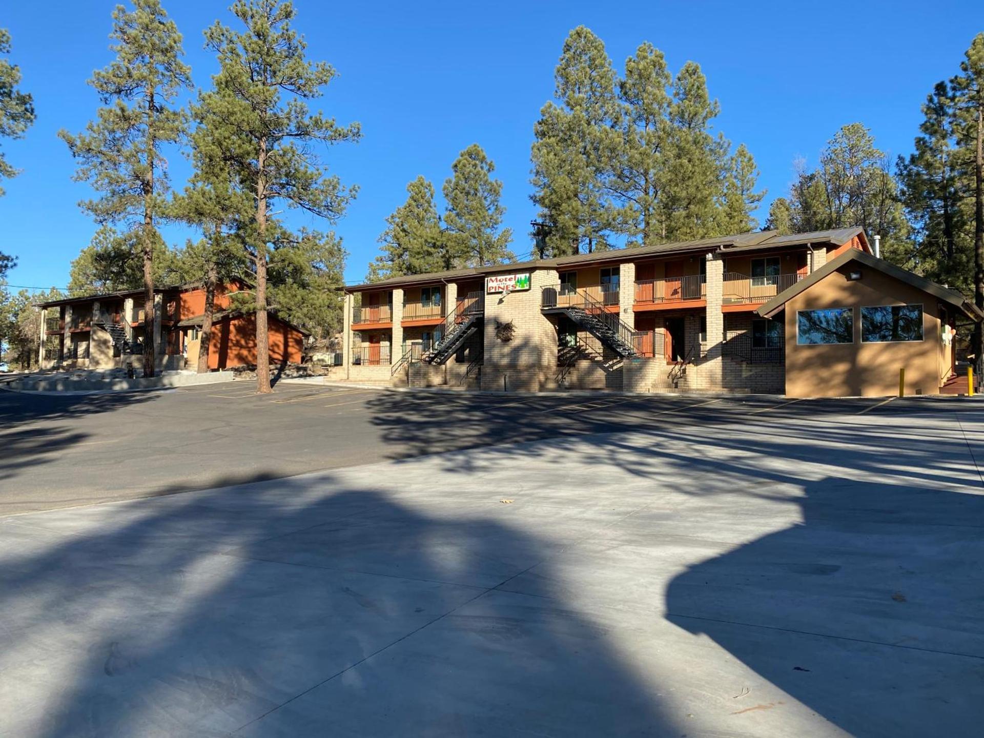Motel In The Pines photo 9