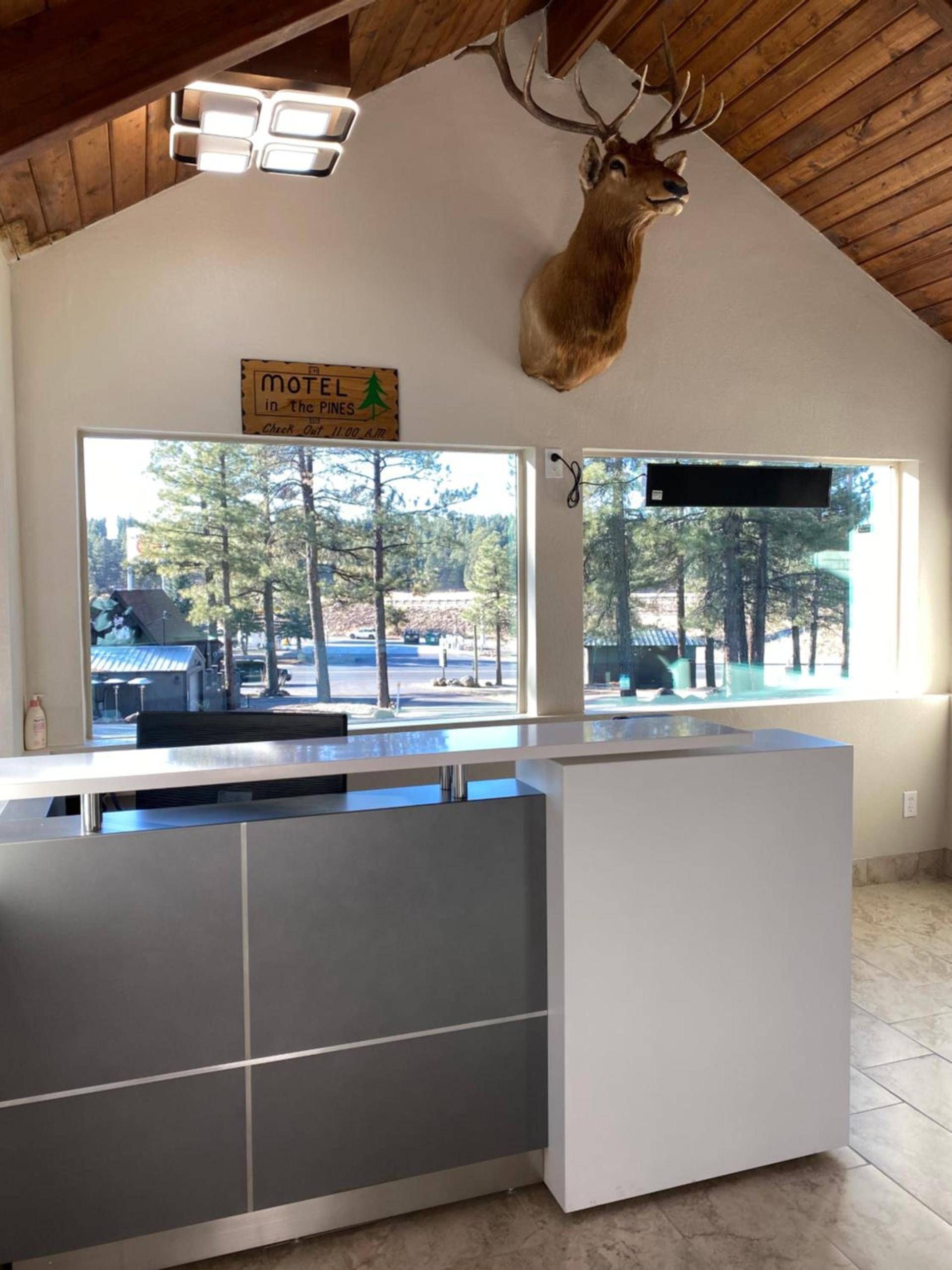 Motel In The Pines photo 6