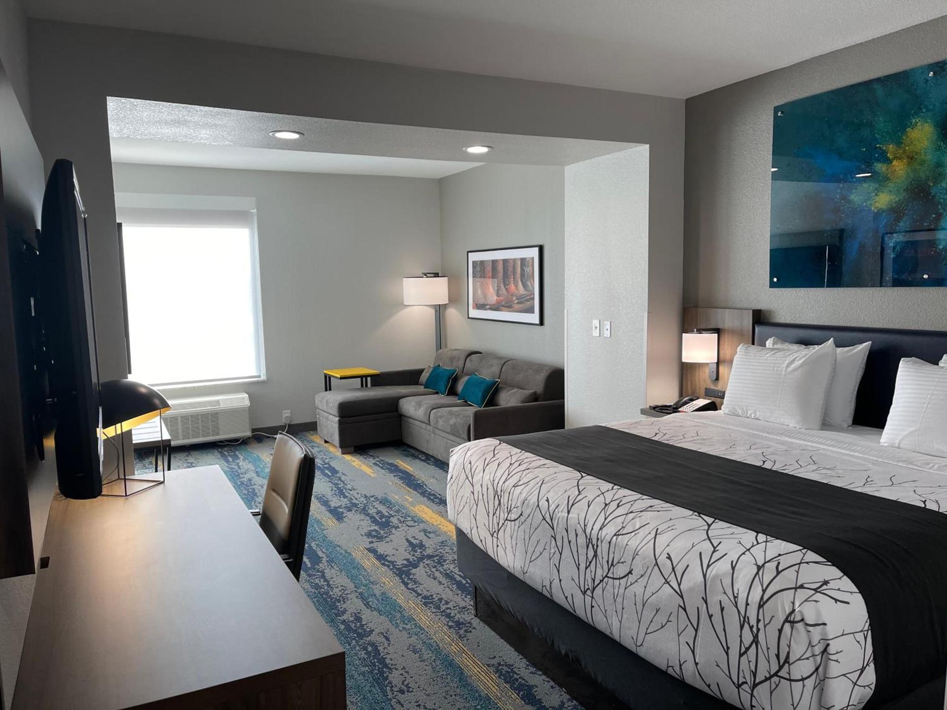 La Quinta Inn & Suites by Wyndham Dallas/Fairpark photo 67