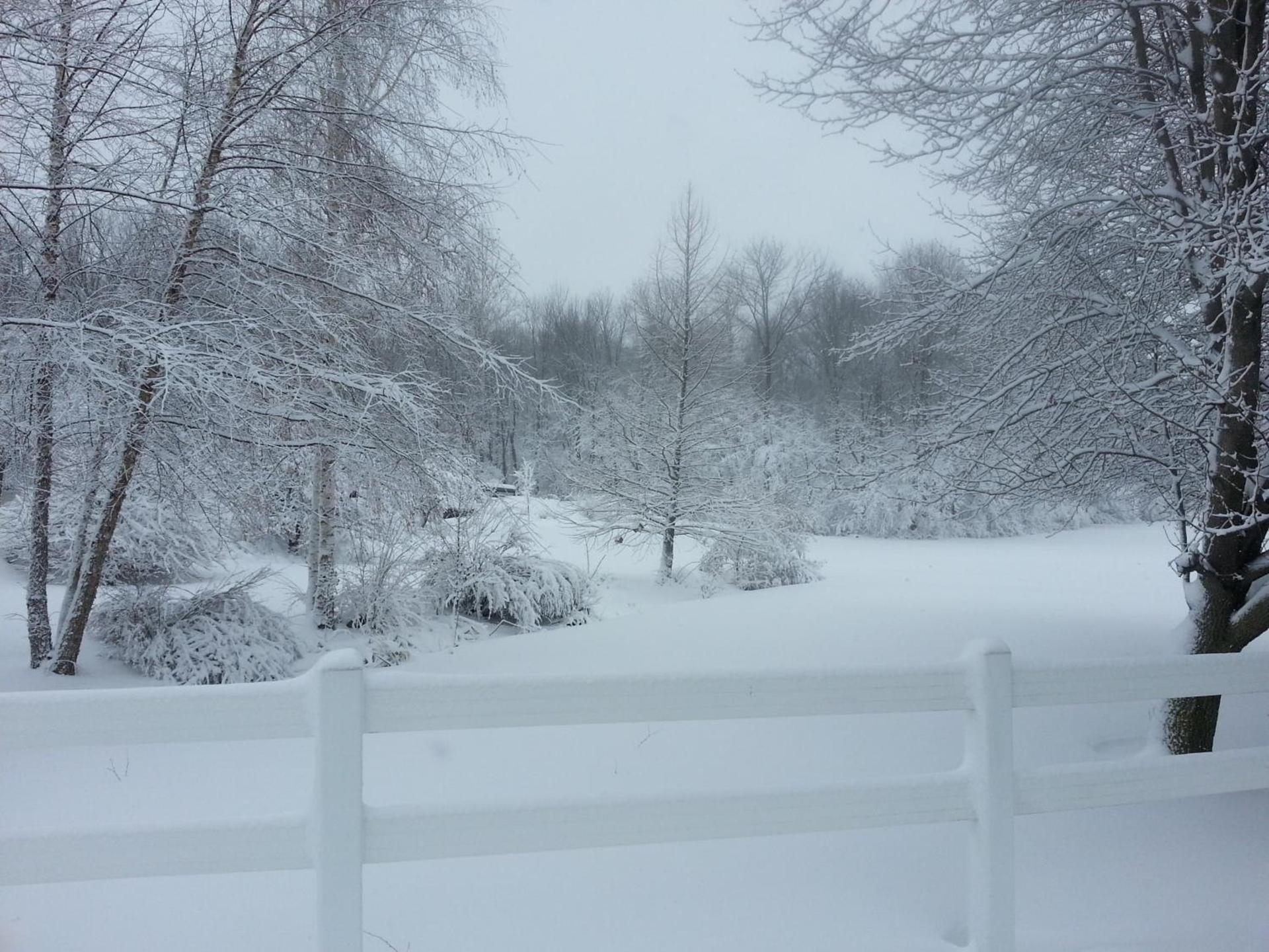 Brook Pointe Resort photo 37