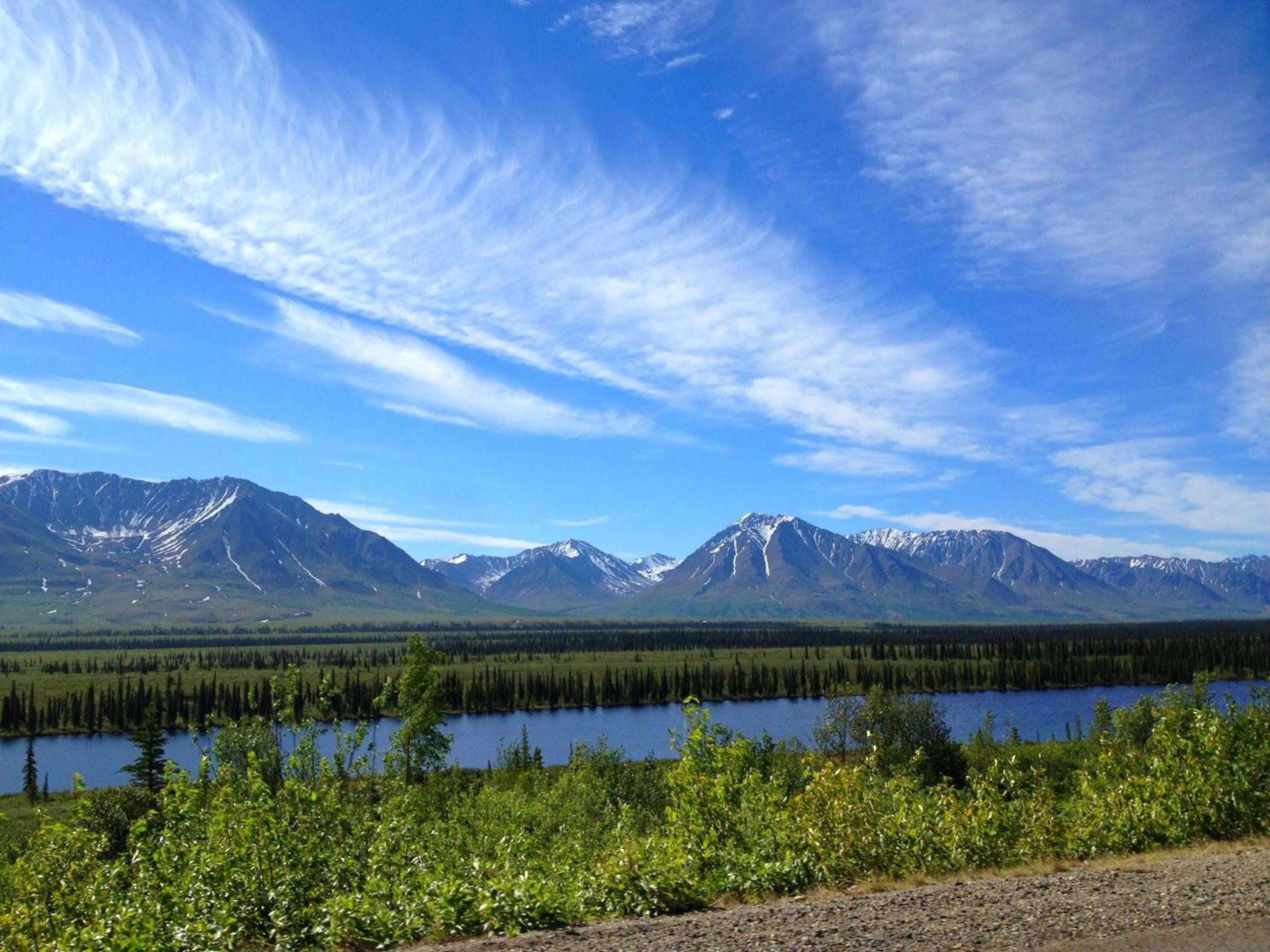 Denali Cabins photo 20