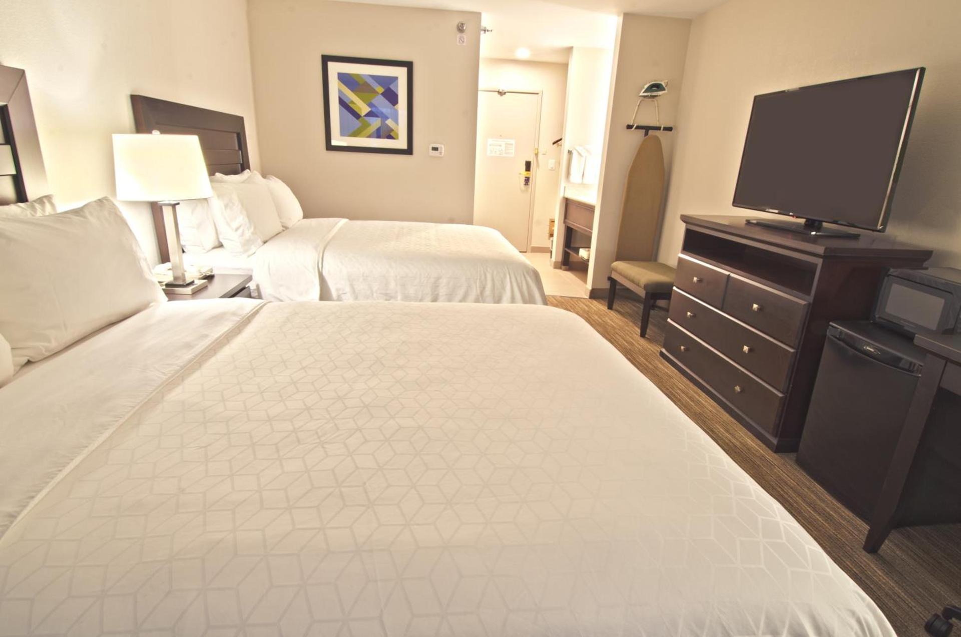 Holiday Inn Express & Suites Chicago-Libertyville by IHG photo 21