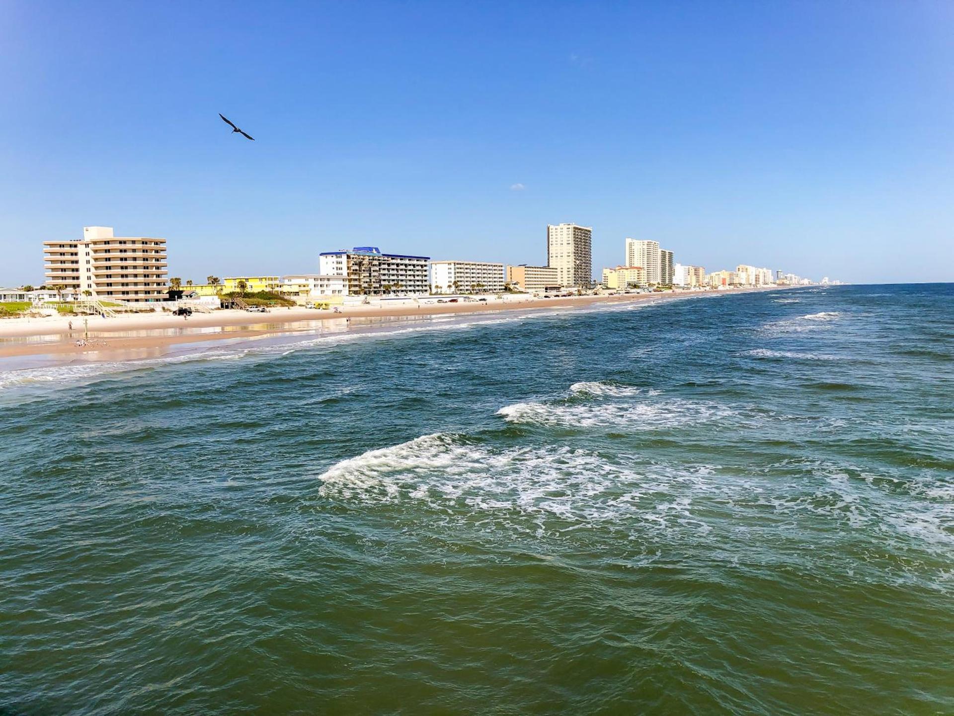 Sand Dollar Condominiums photo 46