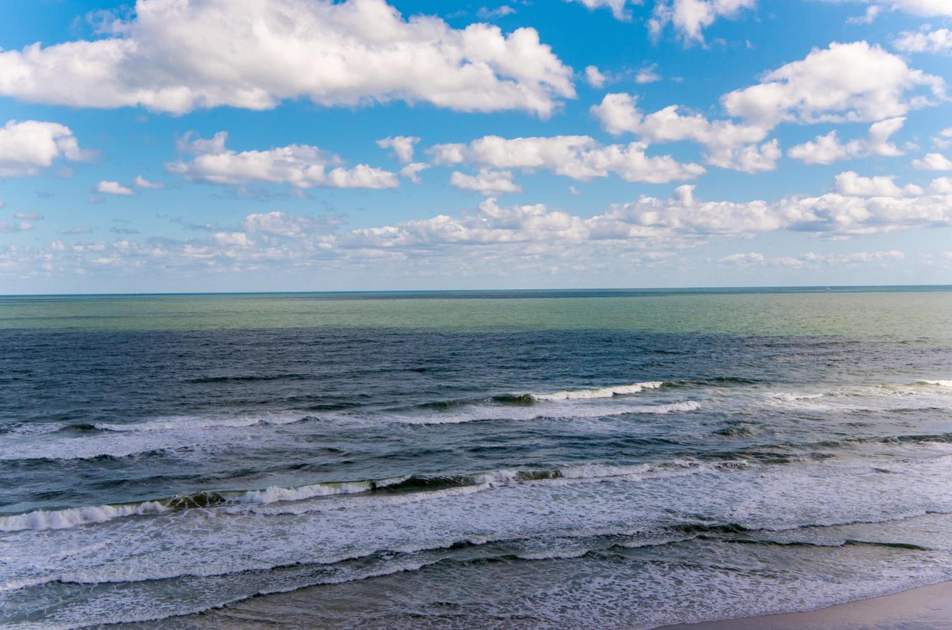 Sand Dollar Condominiums photo 18