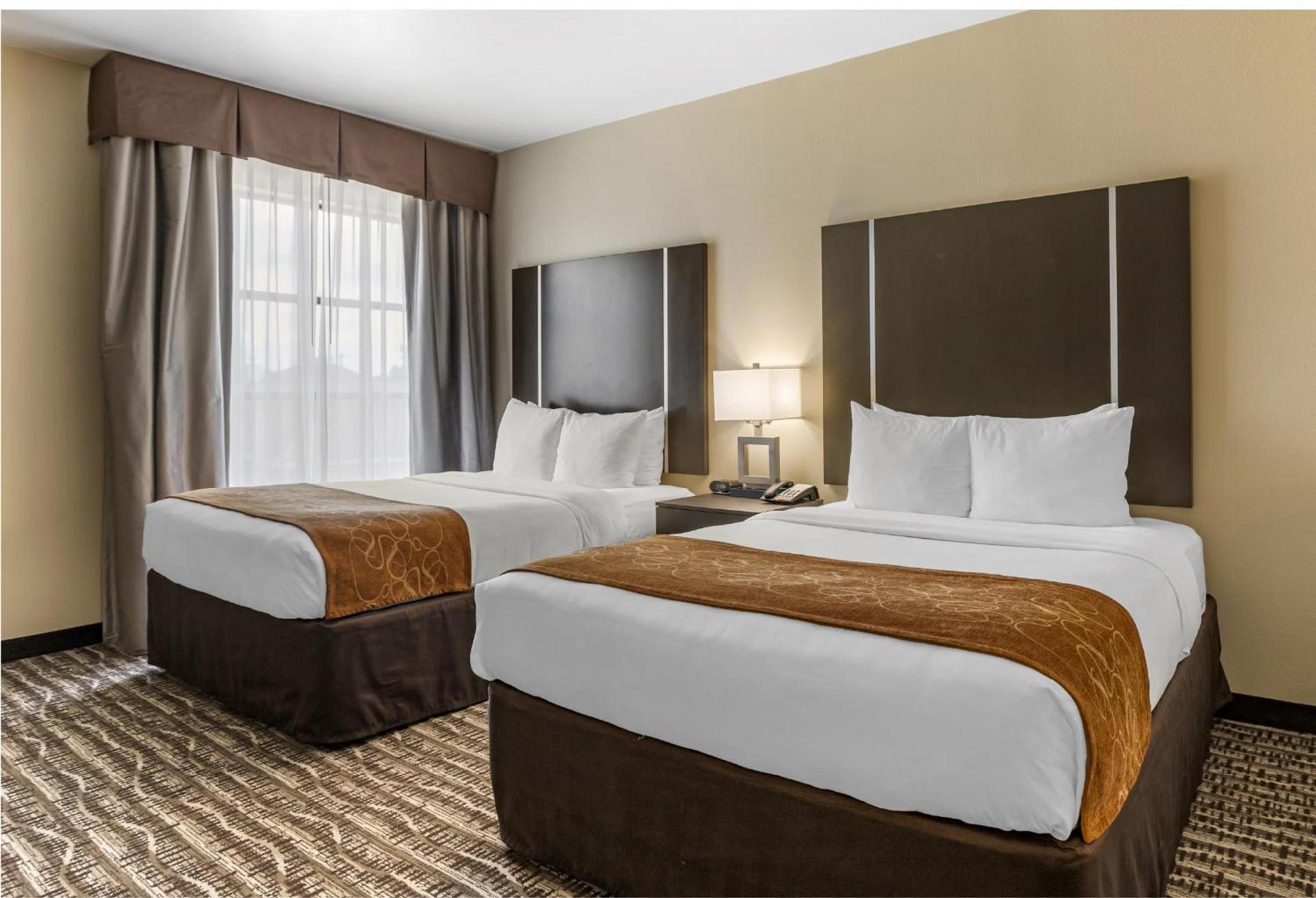 Comfort Suites Near Sam Houston Race Park photo 13