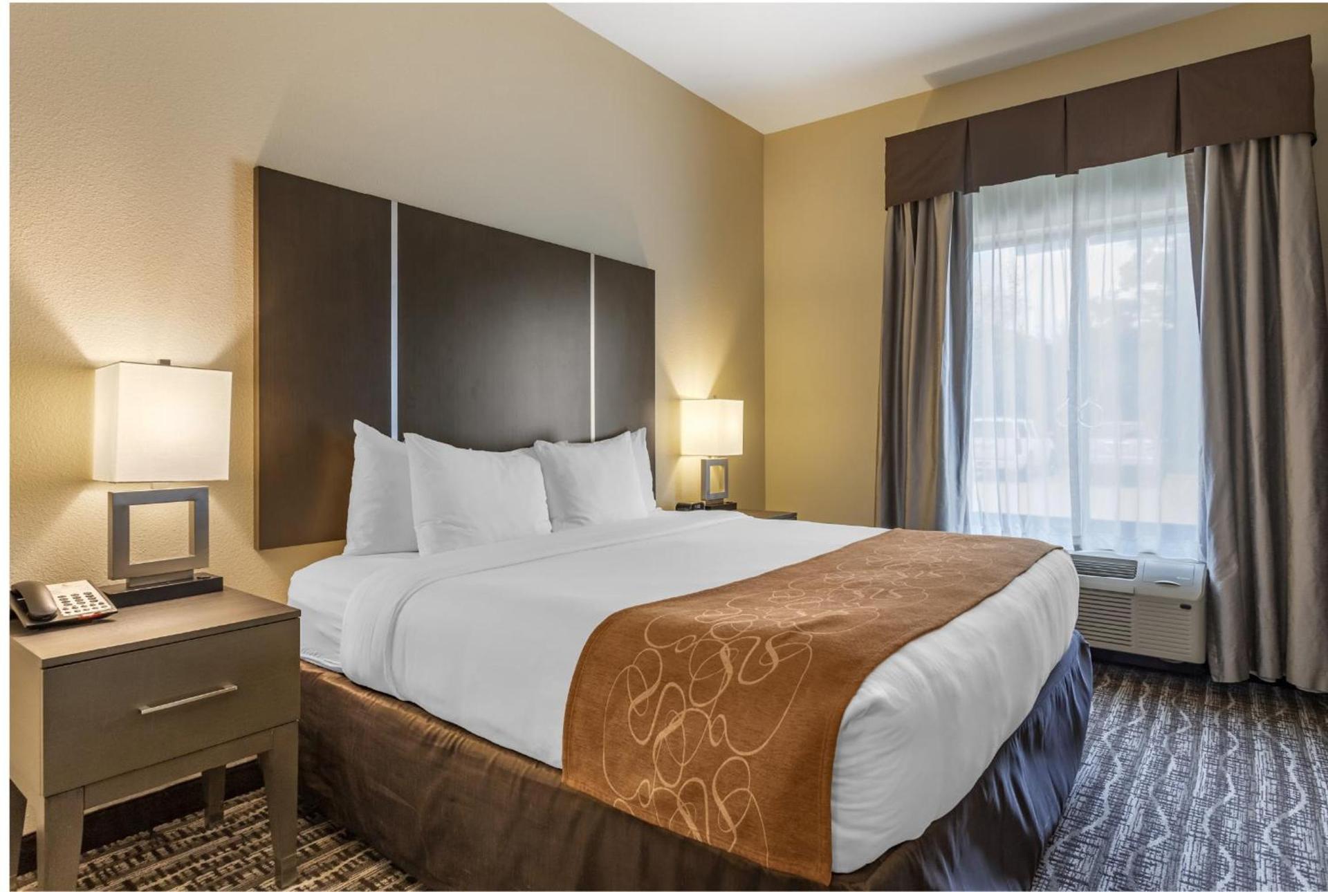 Comfort Suites Near Sam Houston Race Park photo 10
